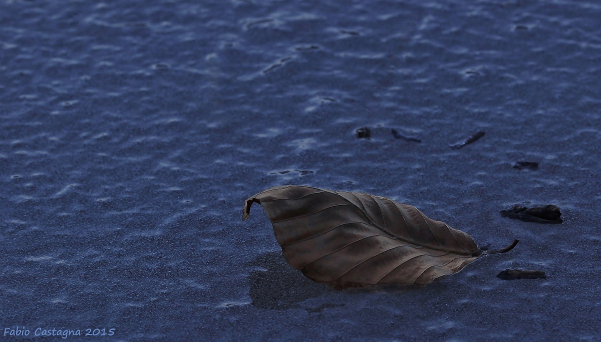 Together in the grip of the ice