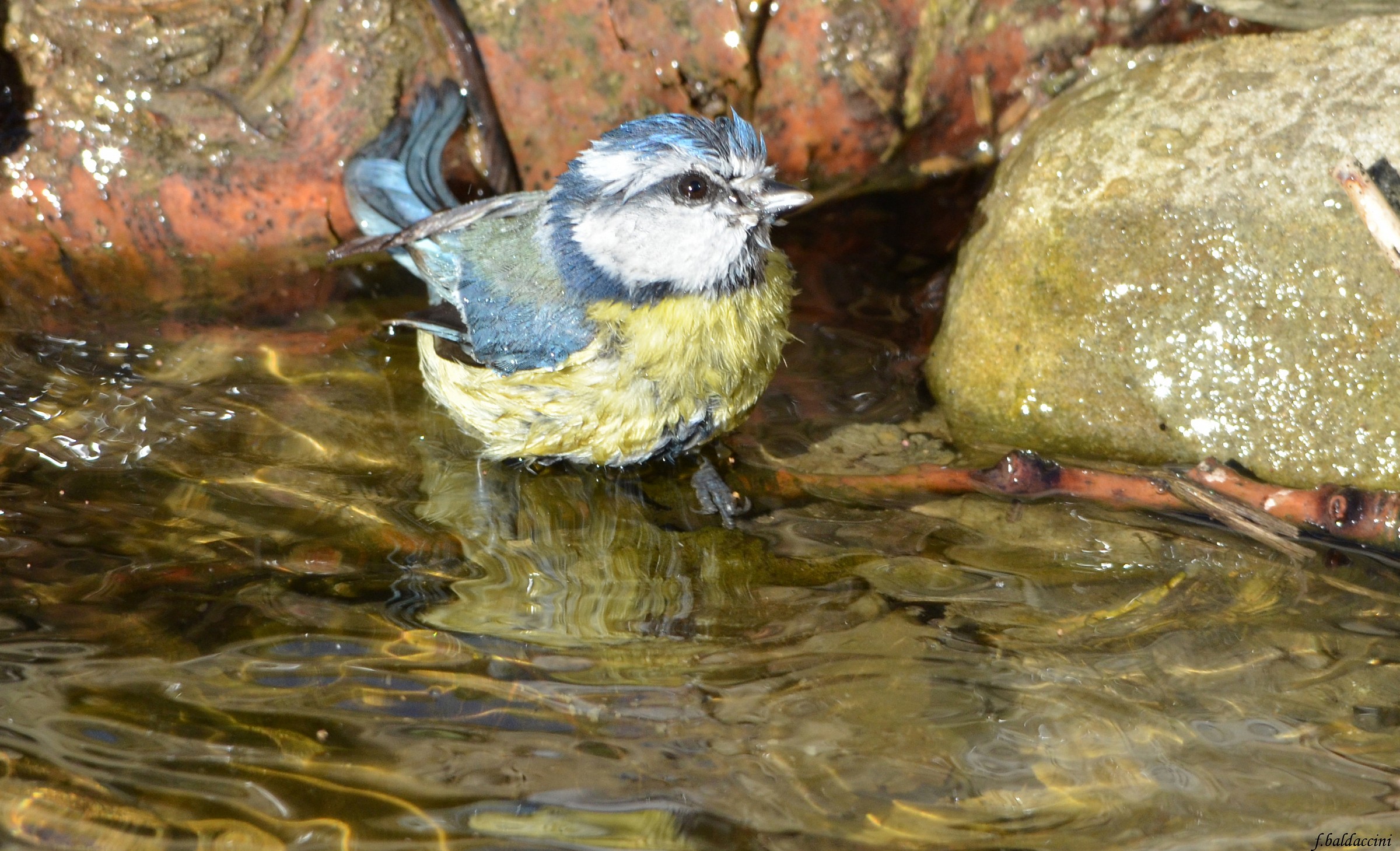 Also today I got the bath