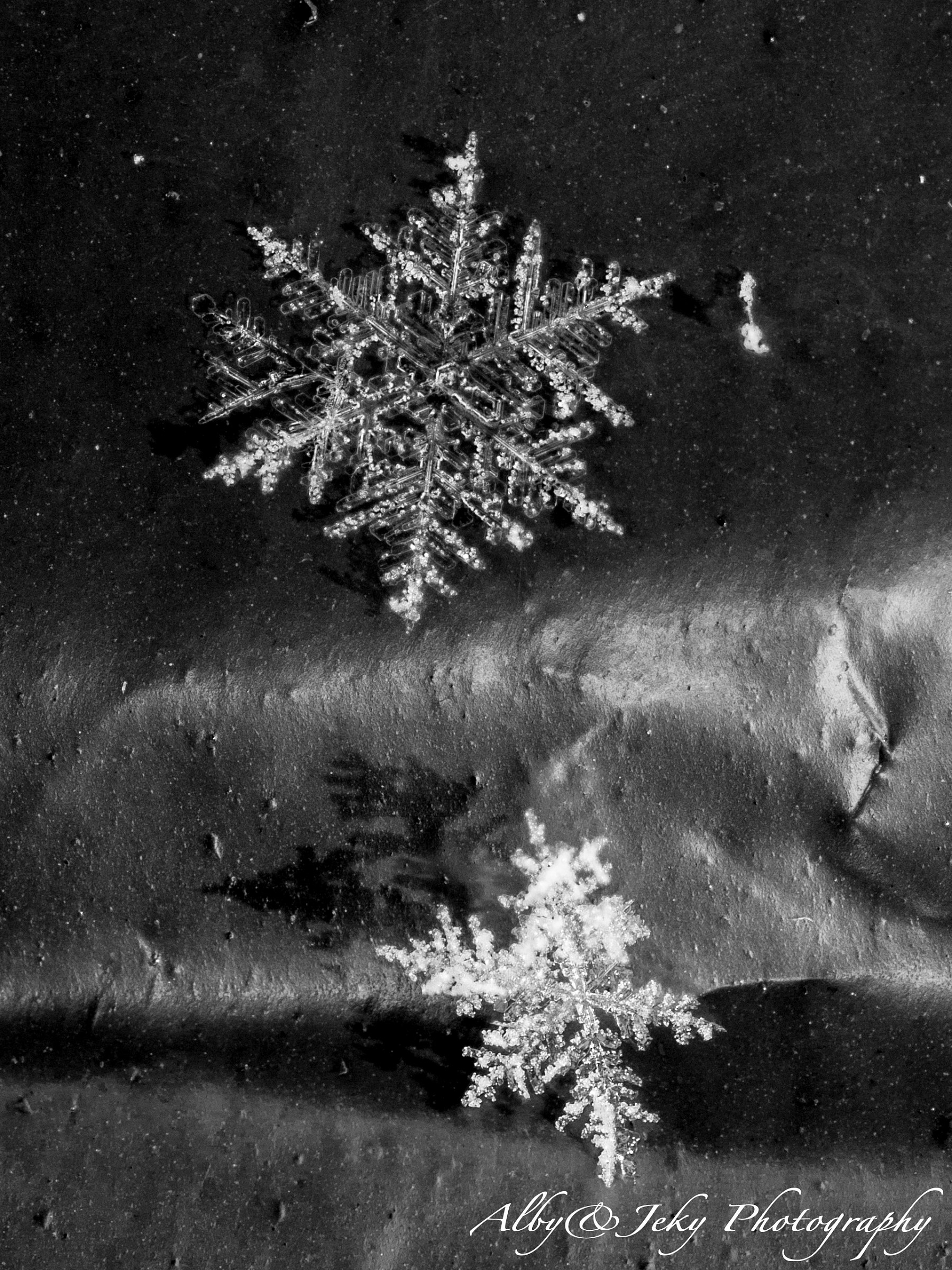 Luci ed ombre freddolose