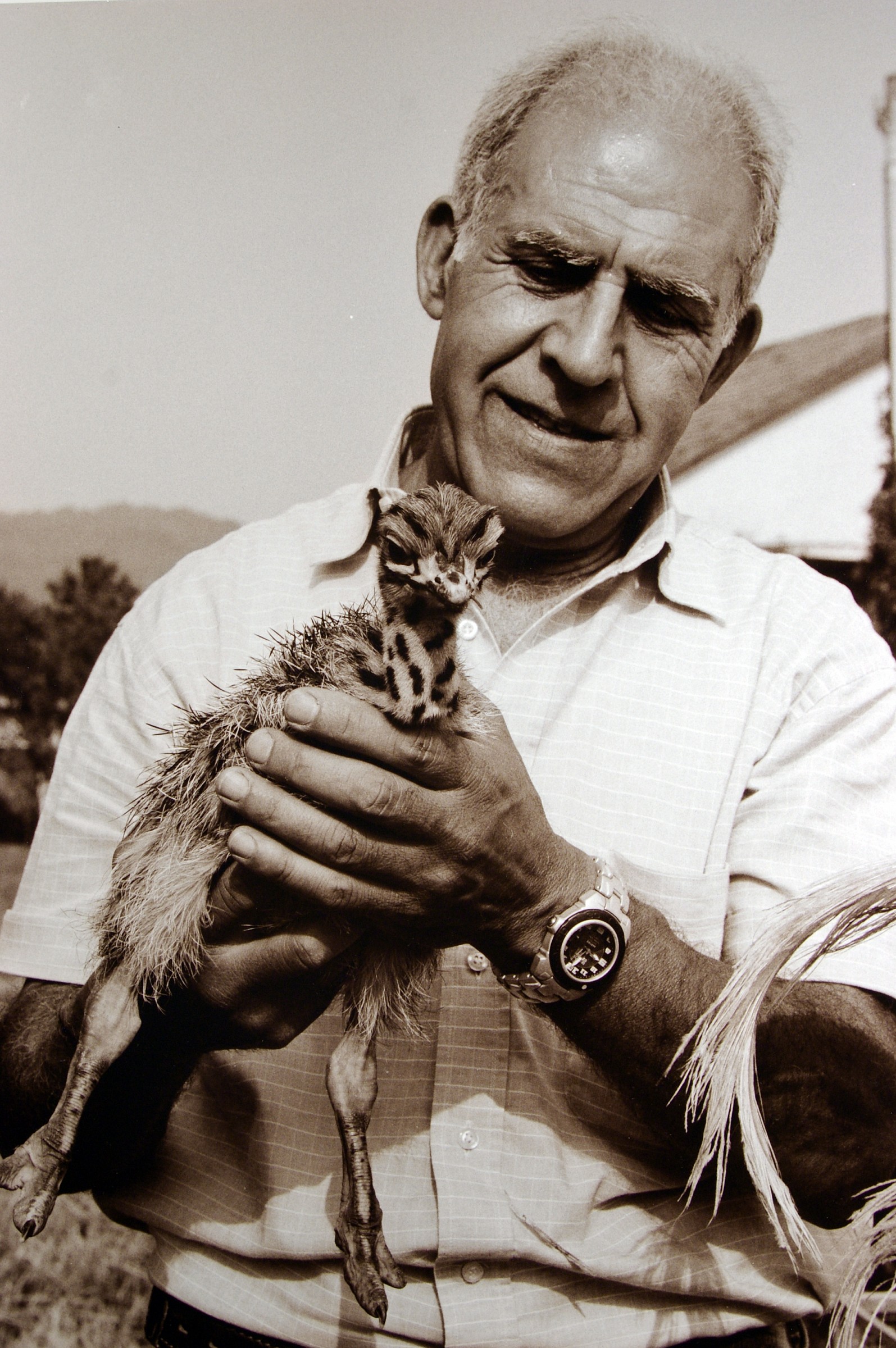 the breeder of ostriches.