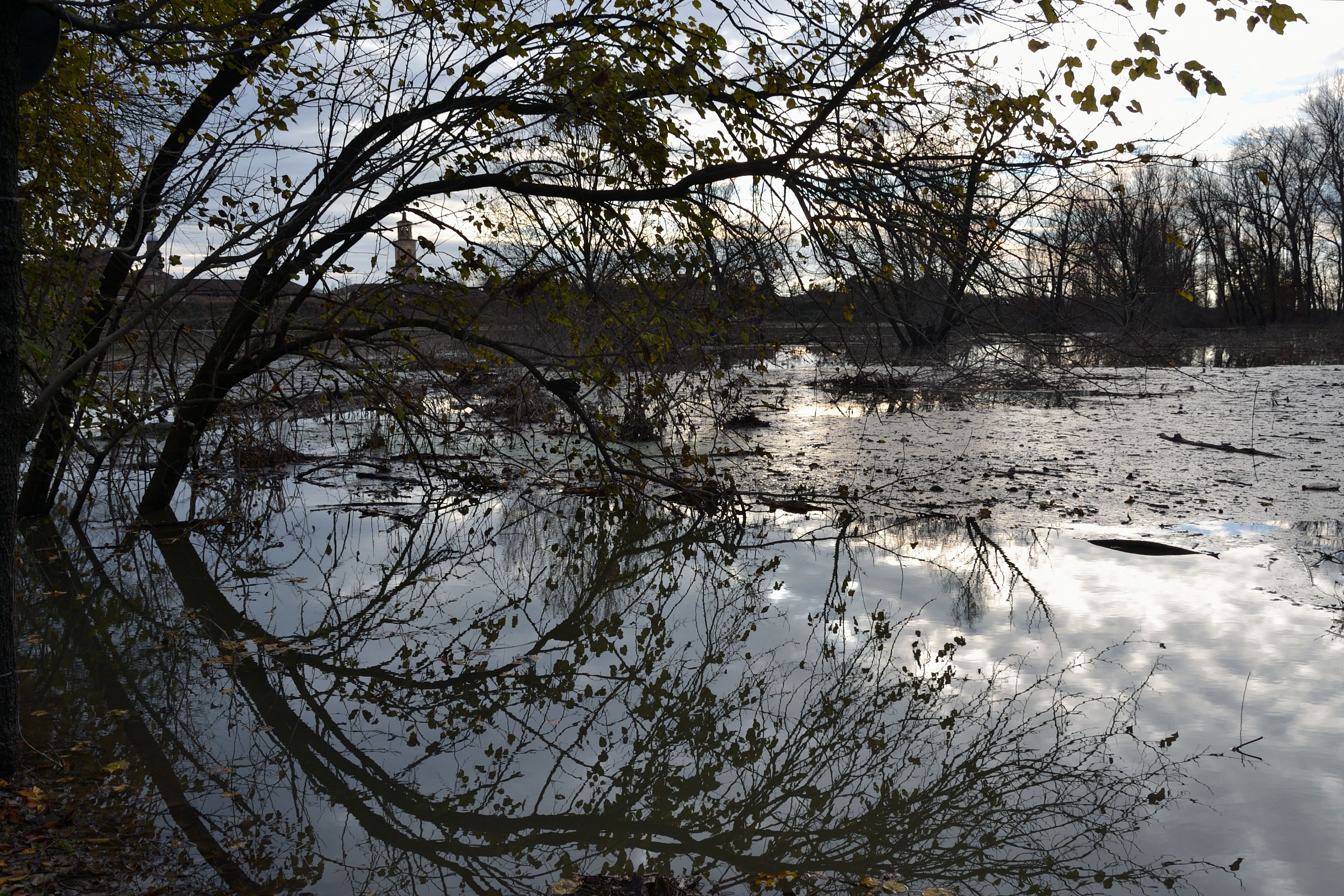The river .... the sky