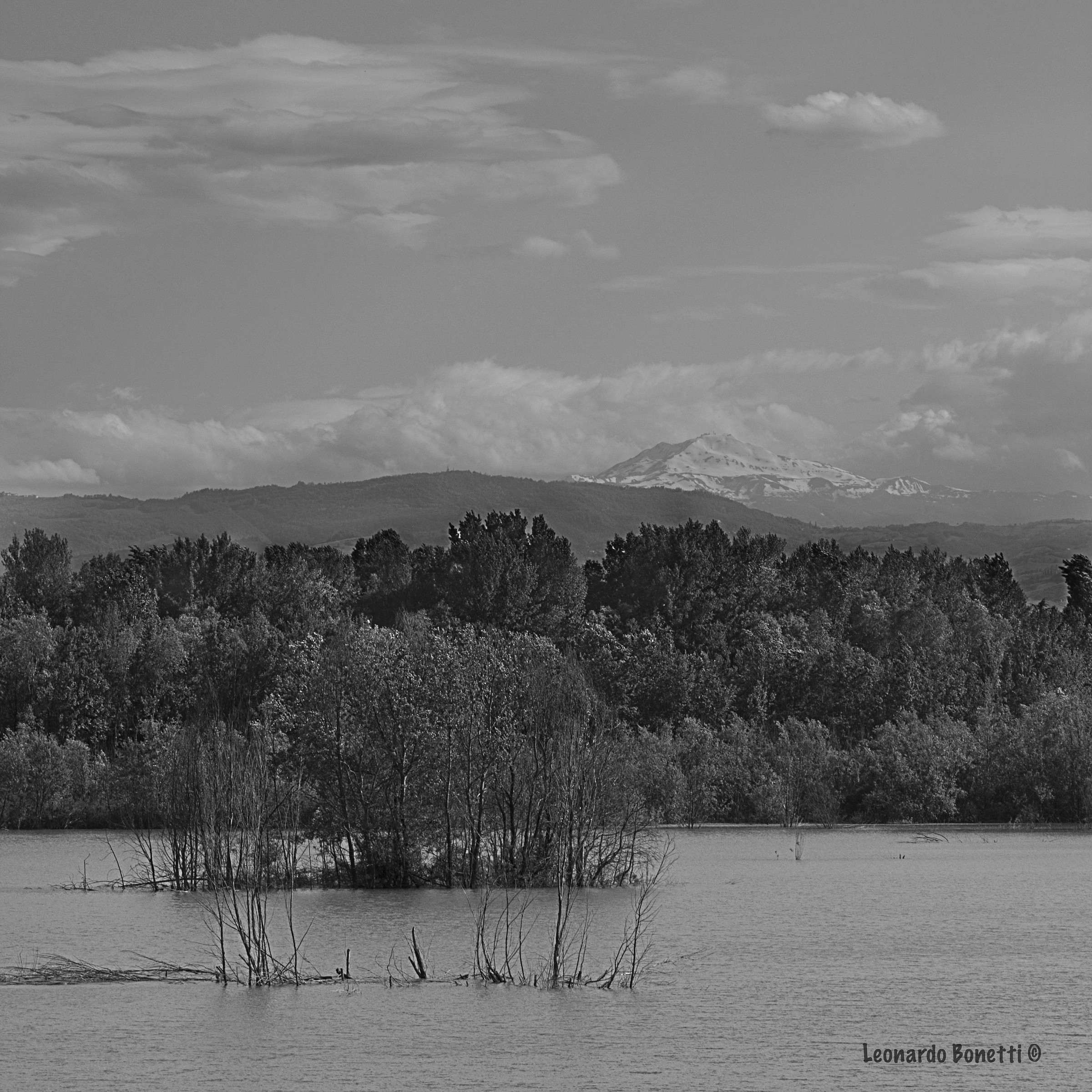 Casse d'espansione del fiume Secchia - Campogalliano