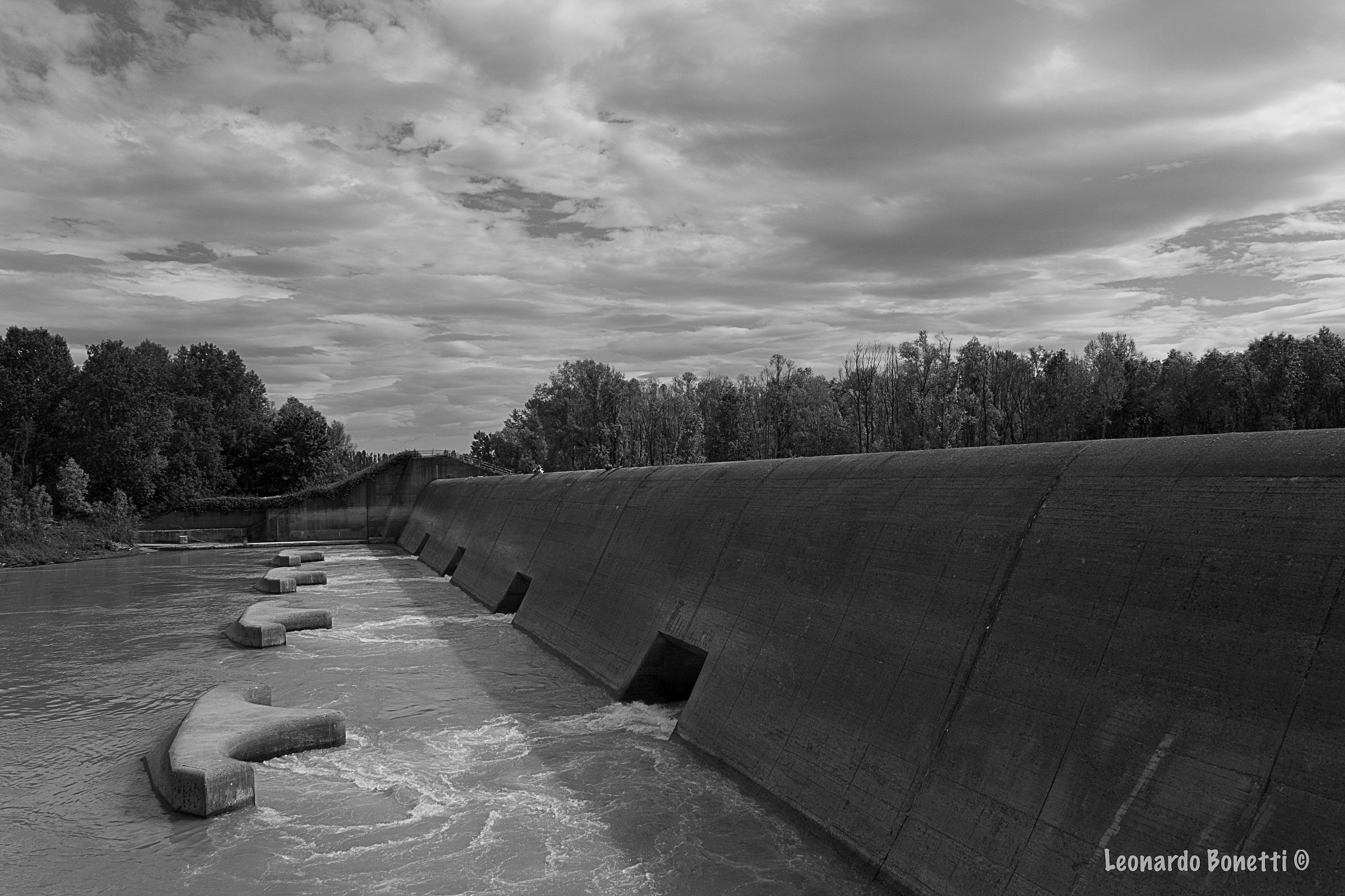 Casse d'espansione del fiume Secchia - Campogalliano