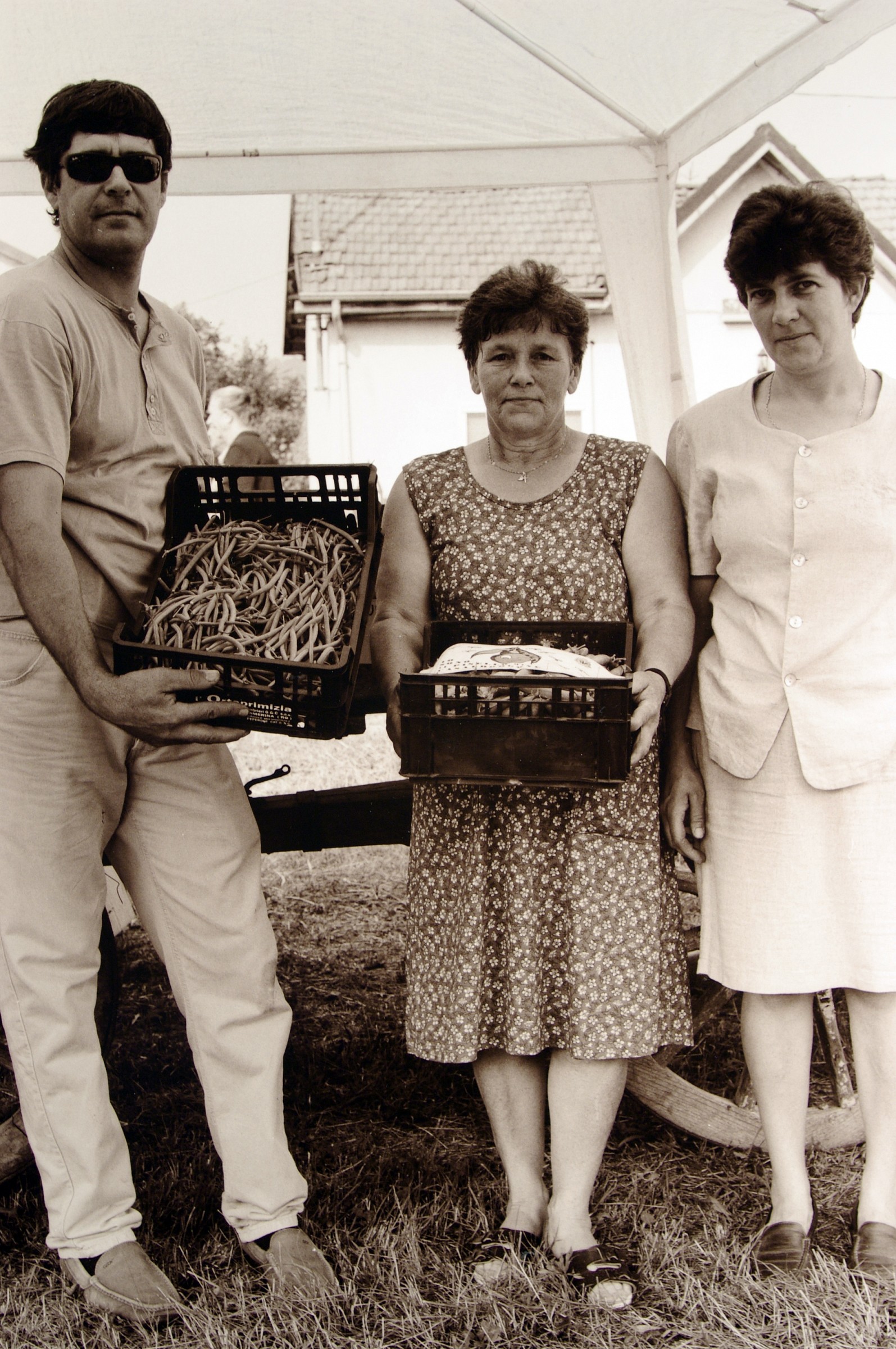 Festival of the pea.