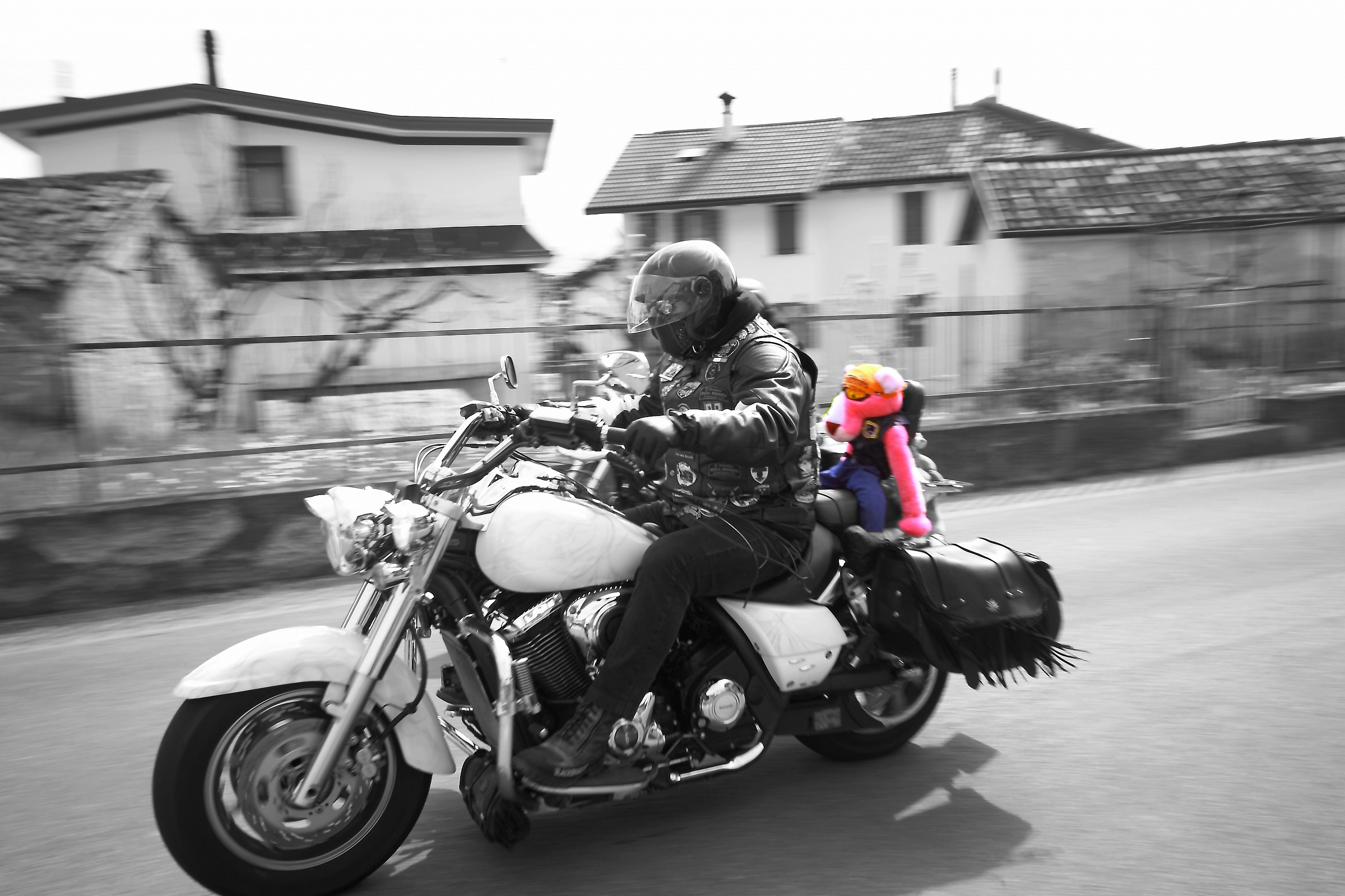 strano compagno rosa