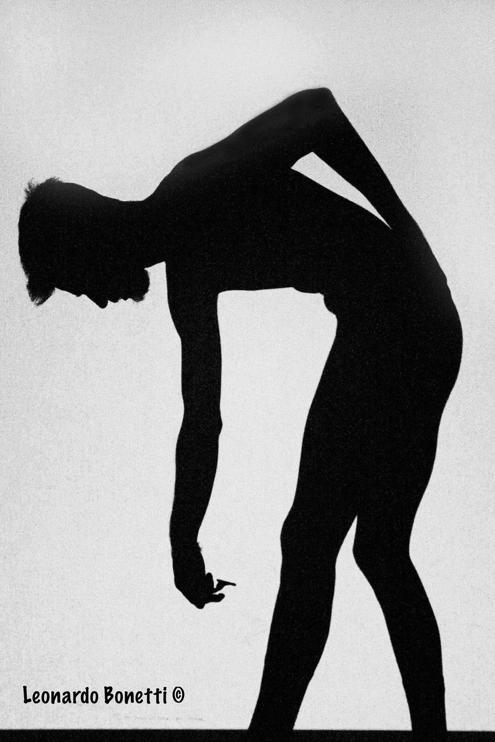 La storia di Andy Warhol - Teatro F. Tagliavini