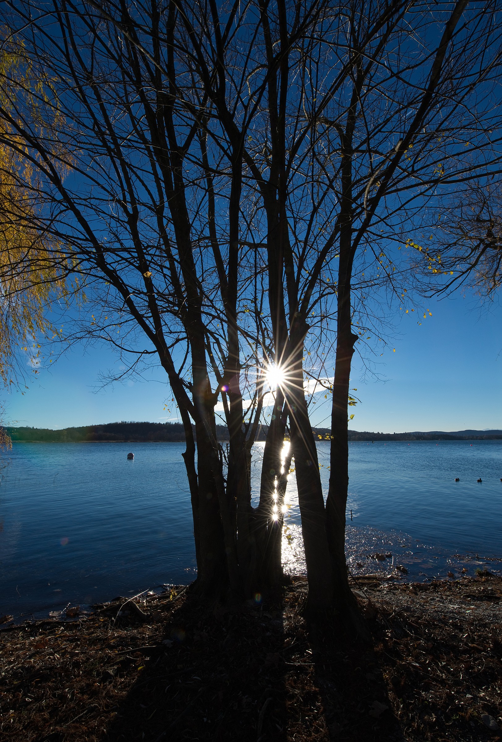 Play of light on the lake