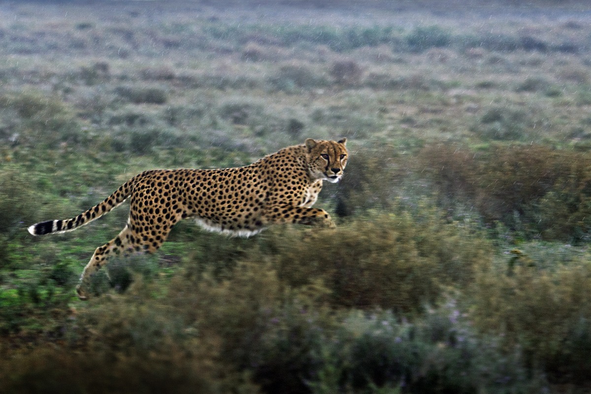 Running under the rain
