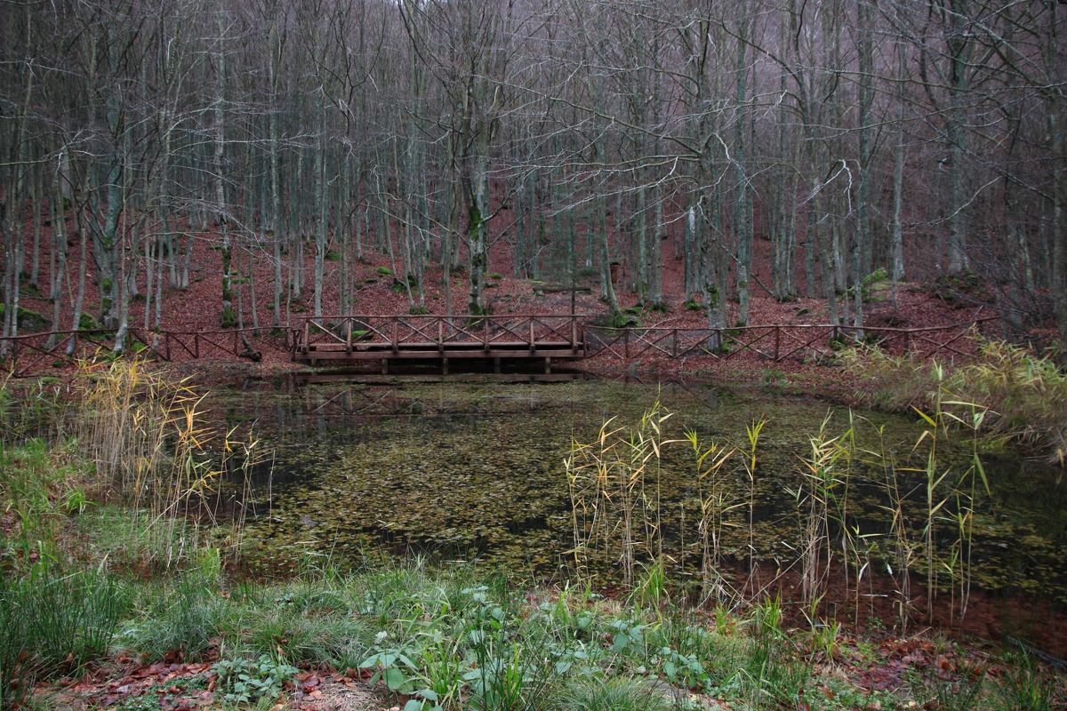 La Gorga nera (Falterona)