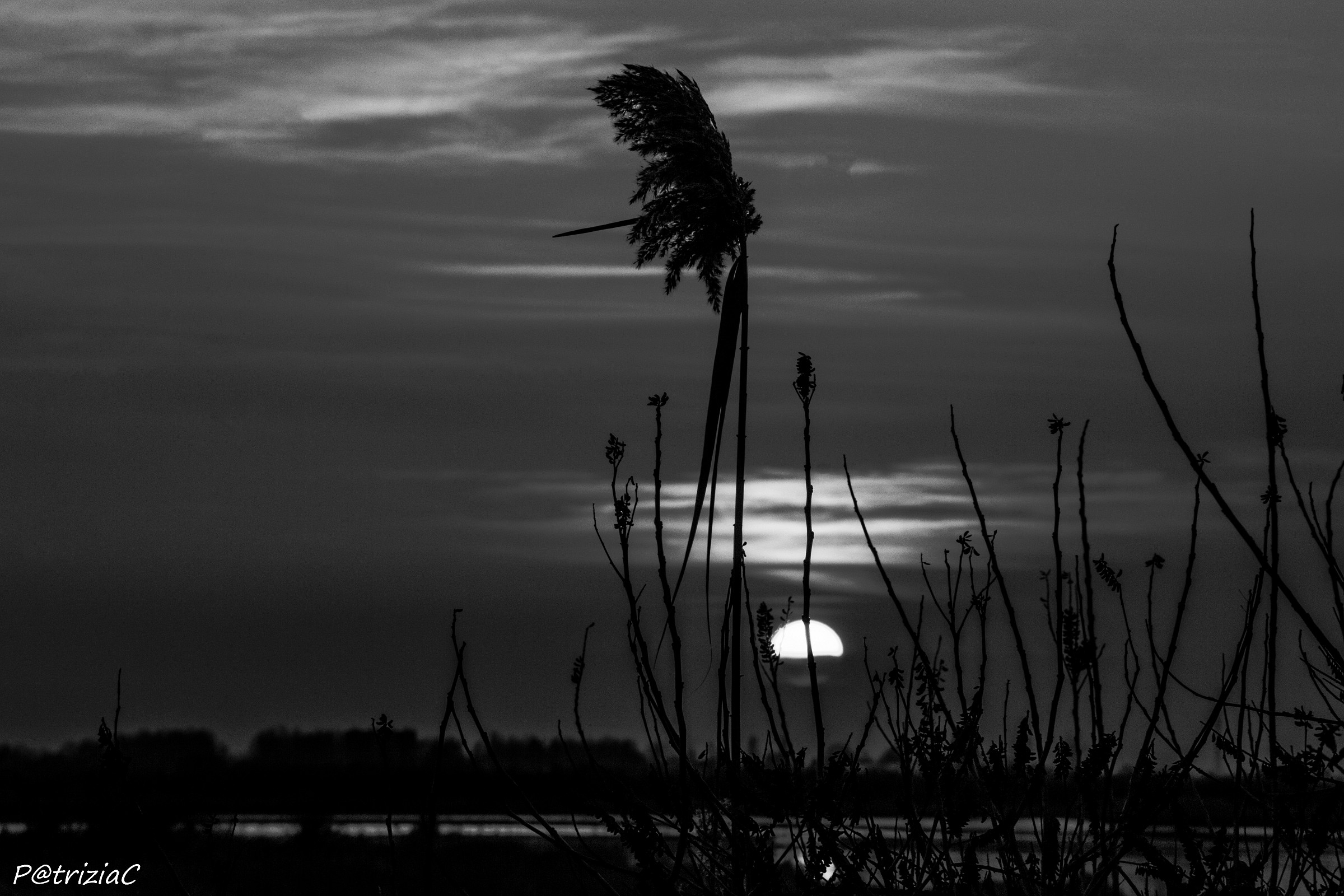 ... "Vibrations" ...