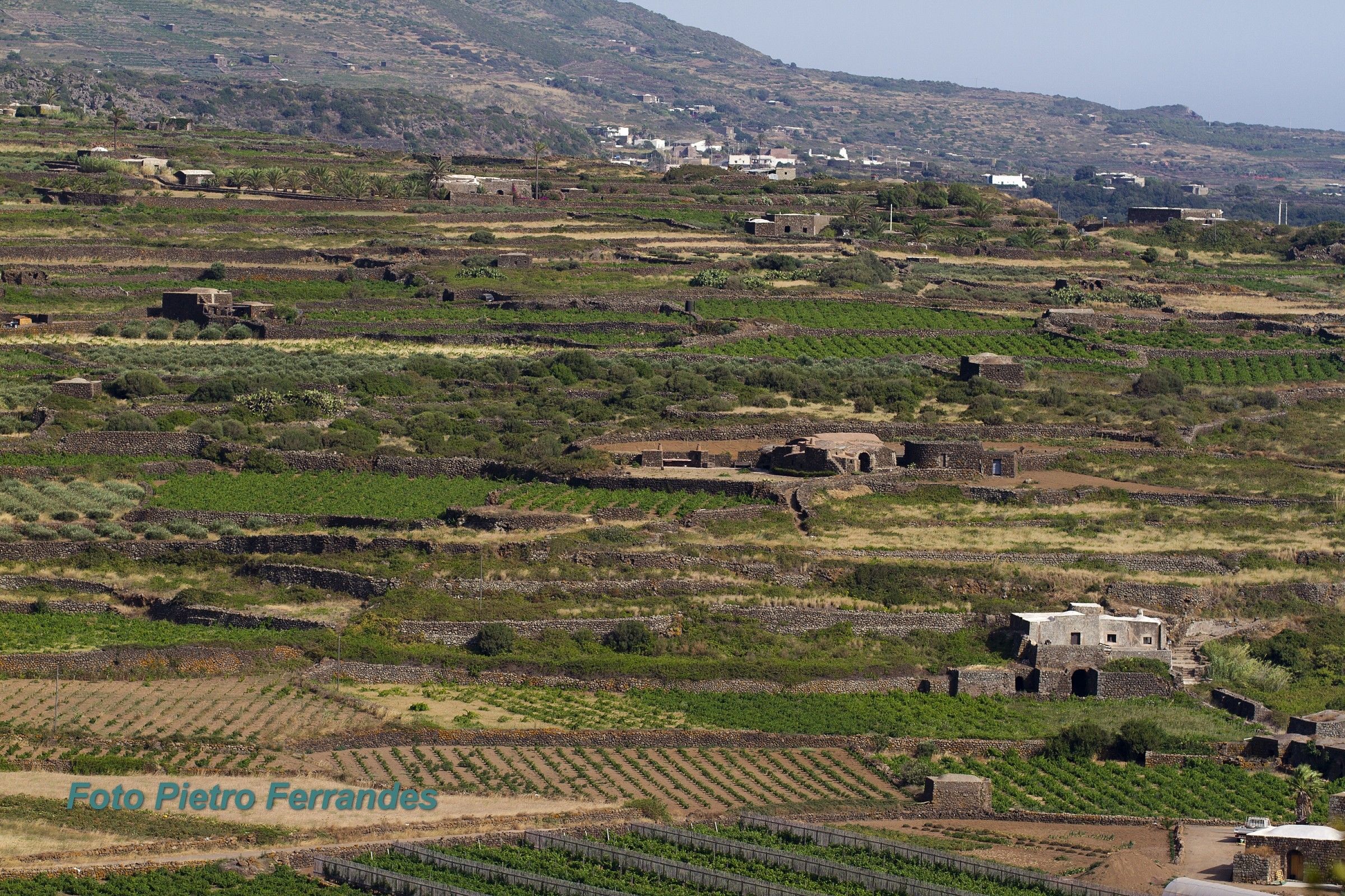 Paesaggio agreste monastero