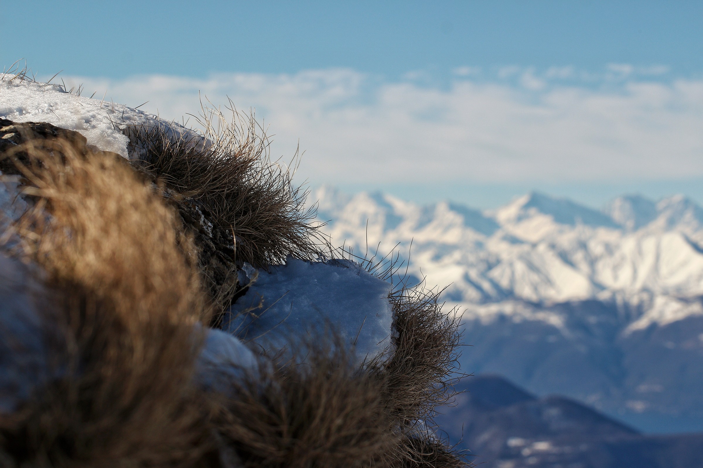 Tufts at high altitude
