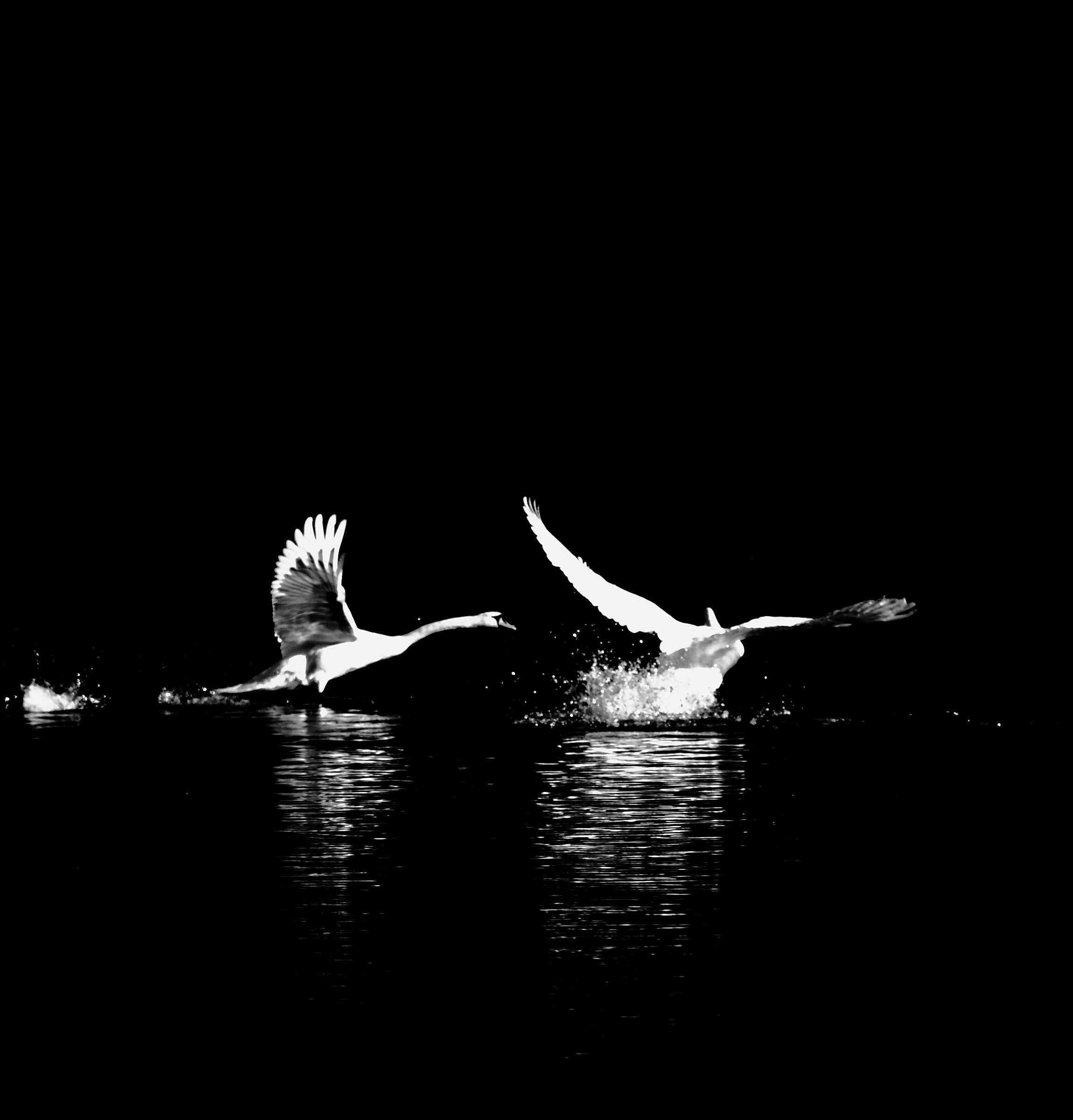 Eye to spalleeeeee !!!!!!