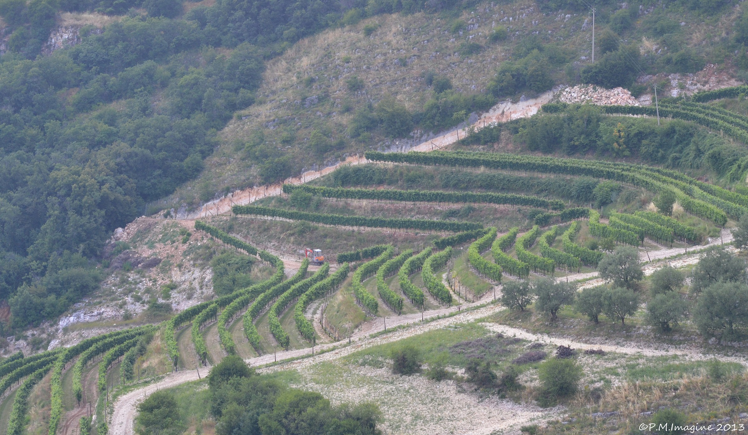 Curve is not dangerous