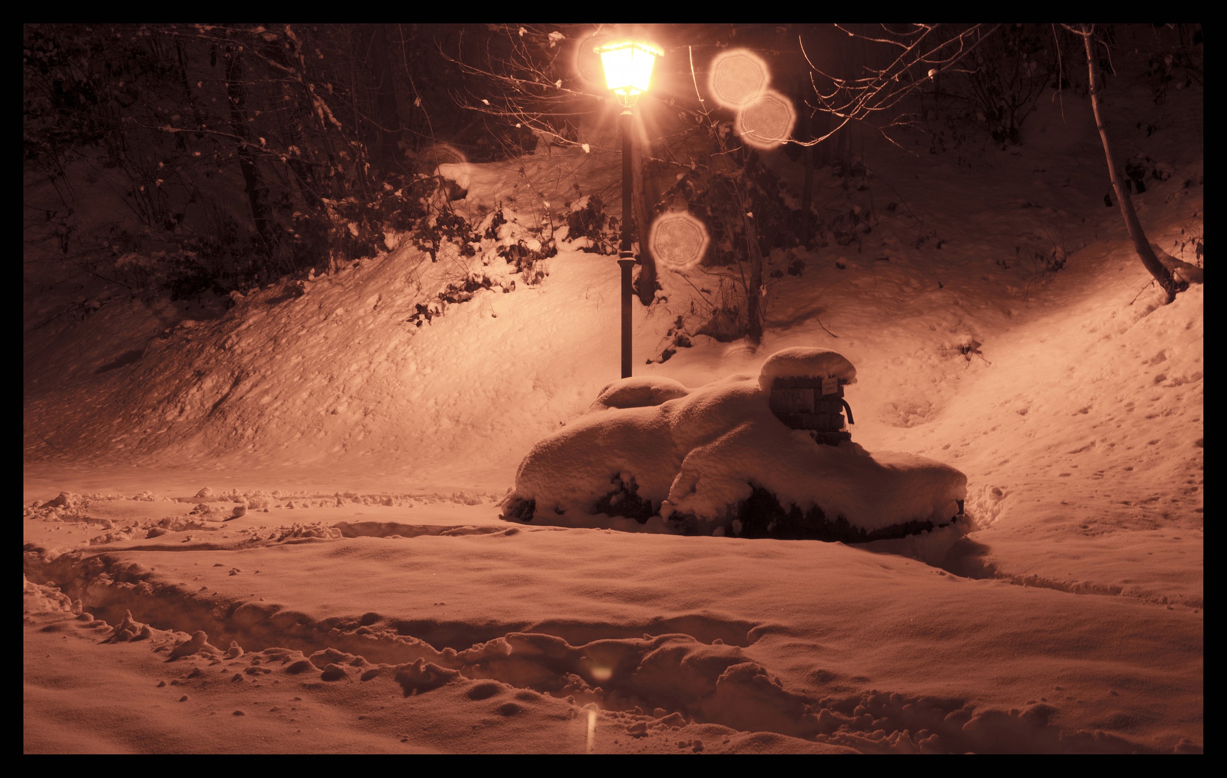 Quel lampione al limitare del bosco...