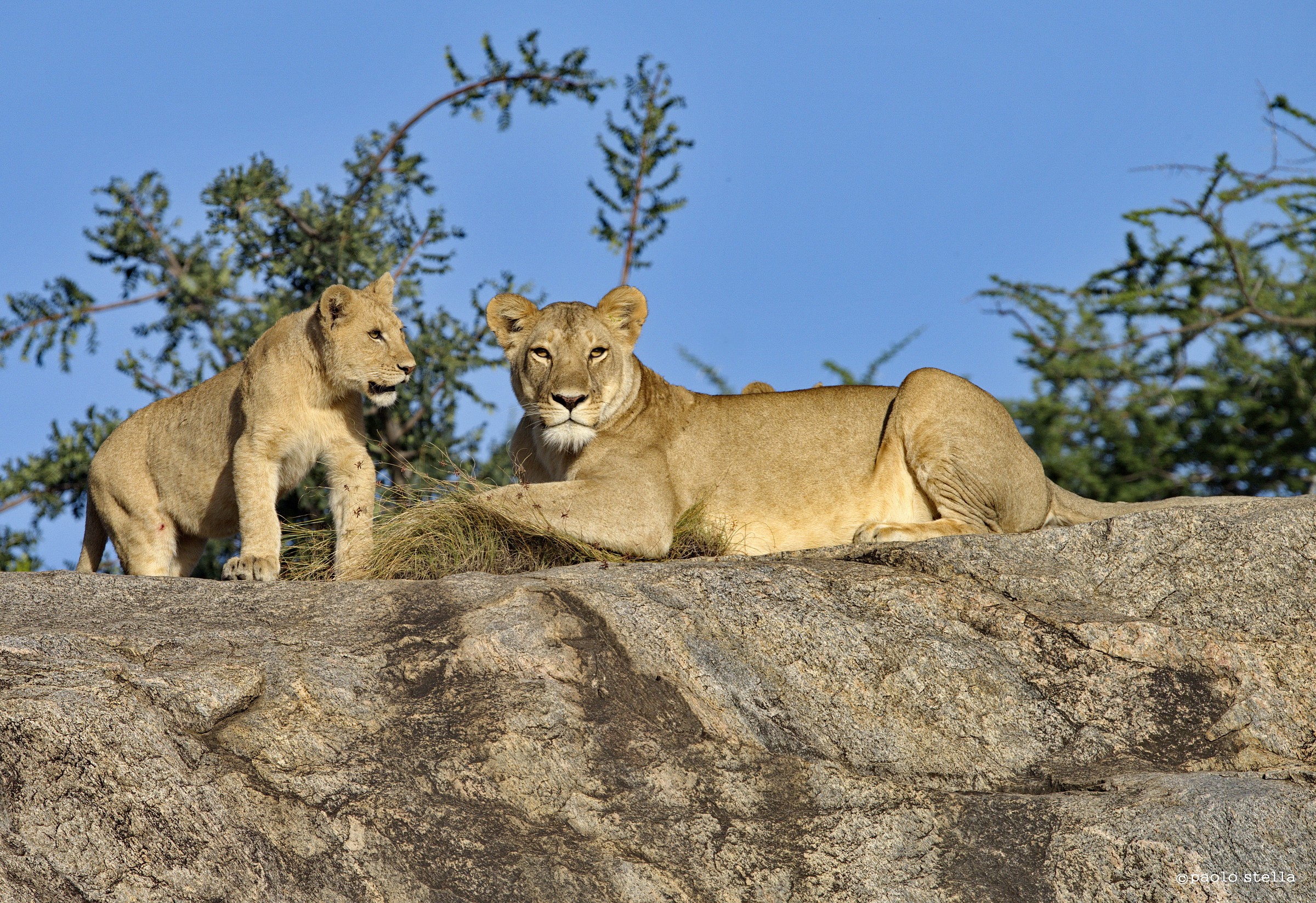 with mom on a rock