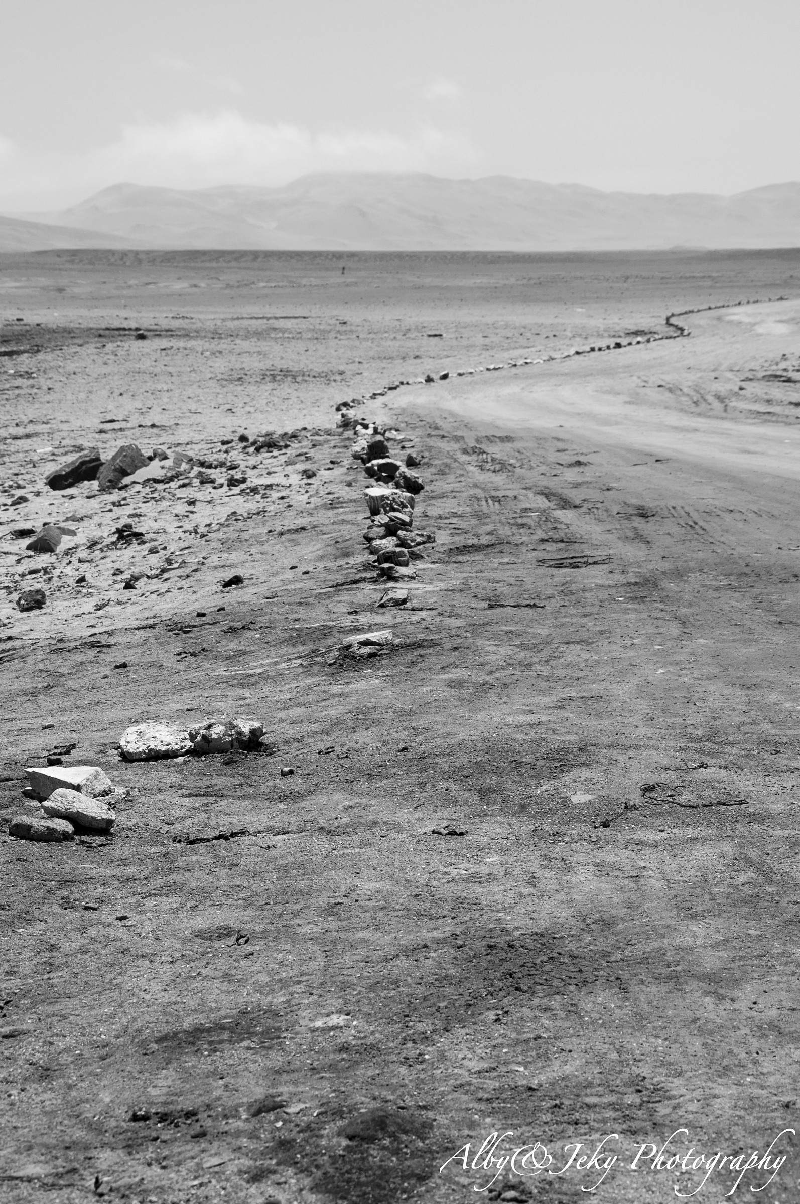 A track in the desert