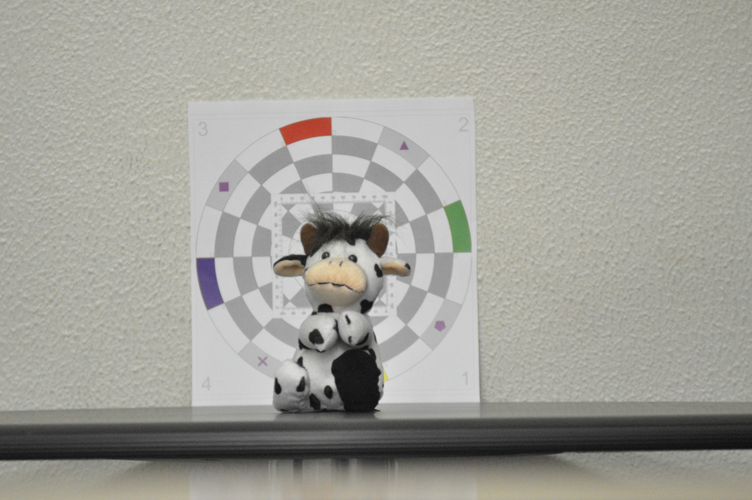 D5000 + Tamron 70-300 USD_iso3200_1 / 25sec_f5,6_300mm