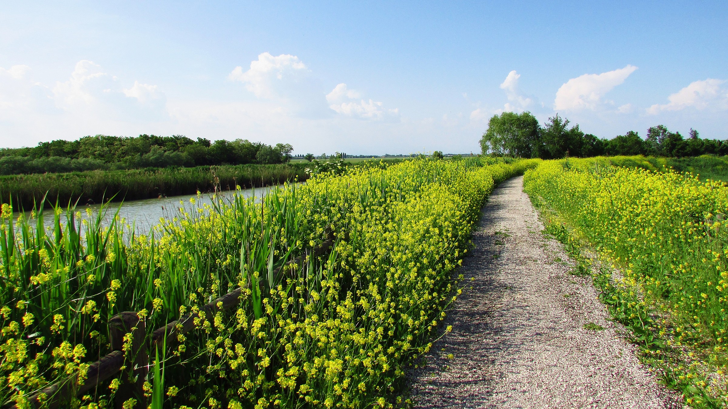 path along the river Zero
