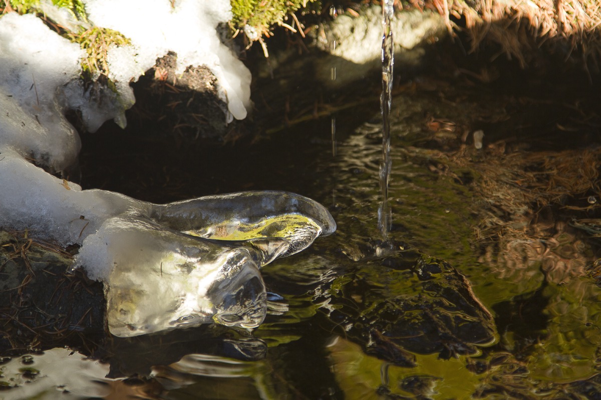 i riflessi dell'acqua