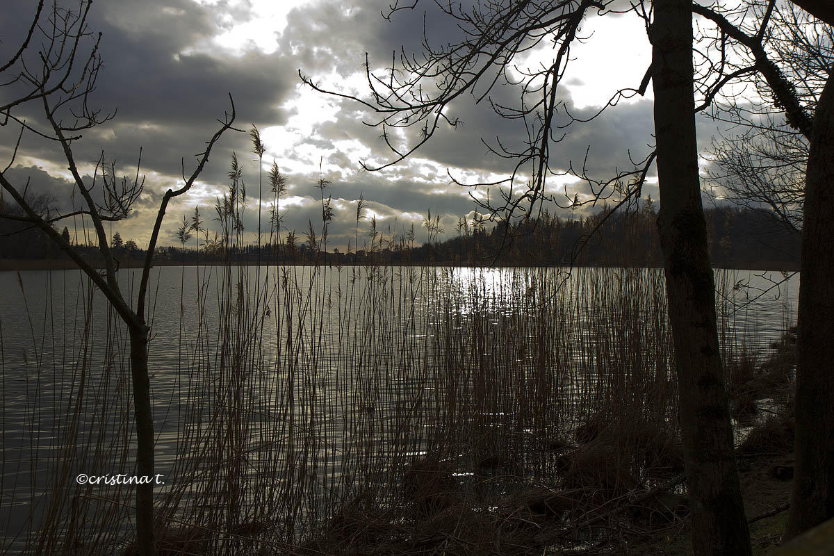 Reflections ... (Lake Segrino)