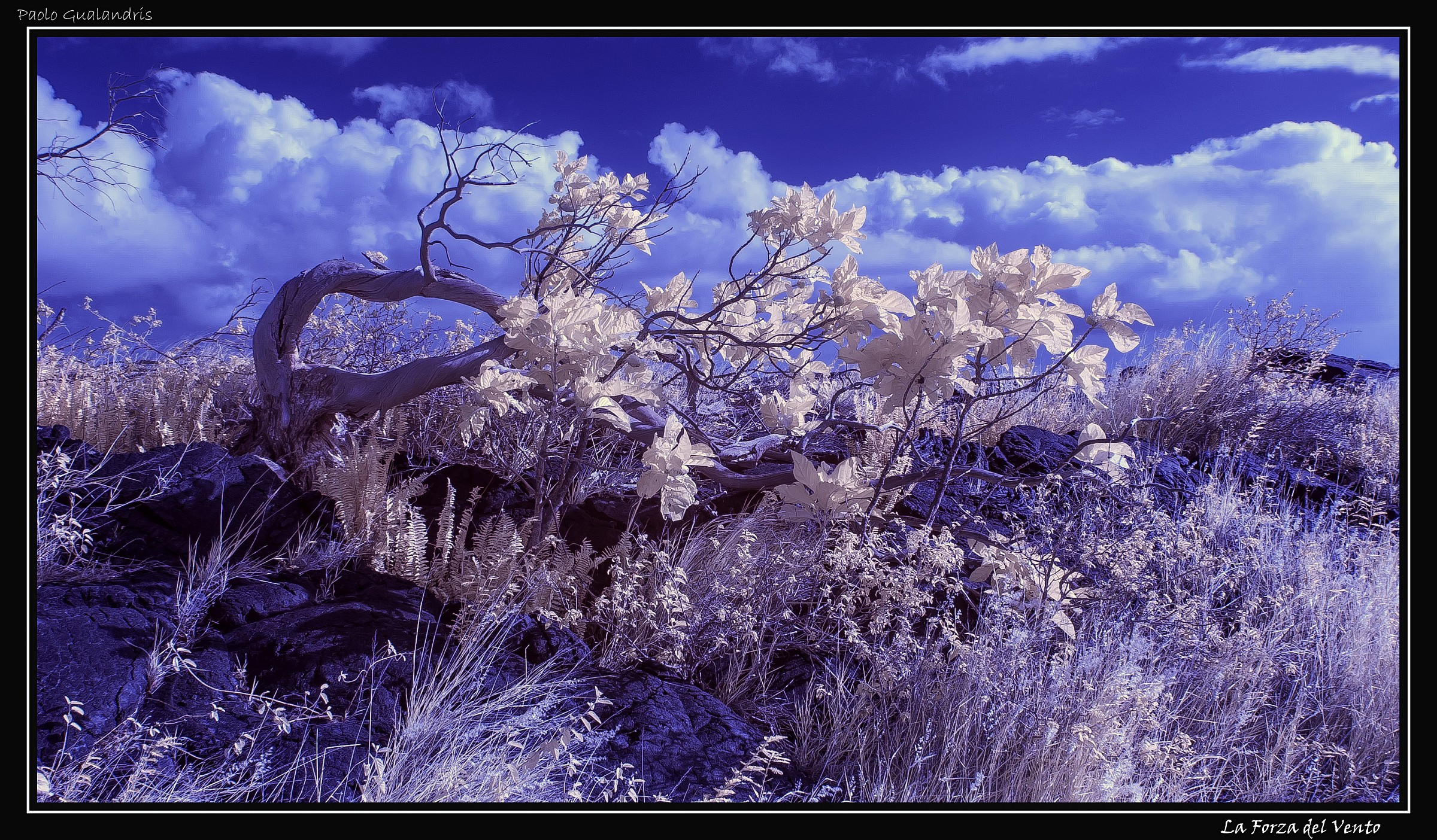 The strength of the Wind