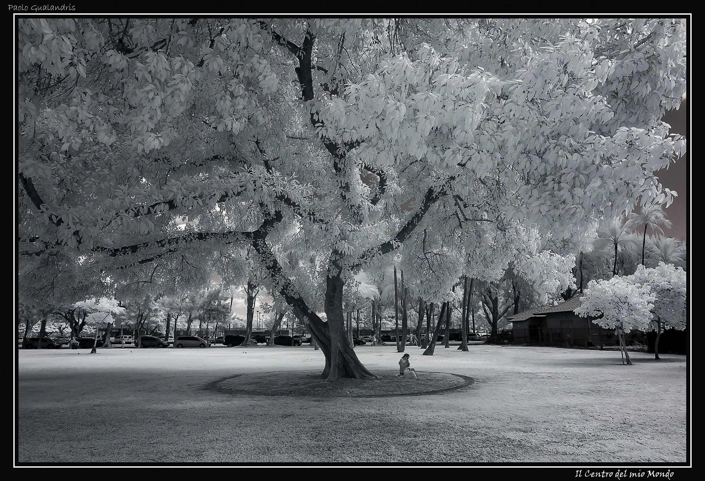 At the center of my world