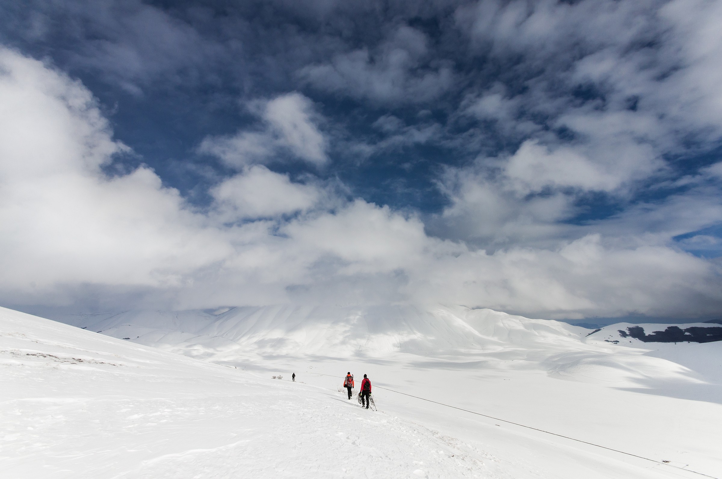 dipped in white in the blue ..