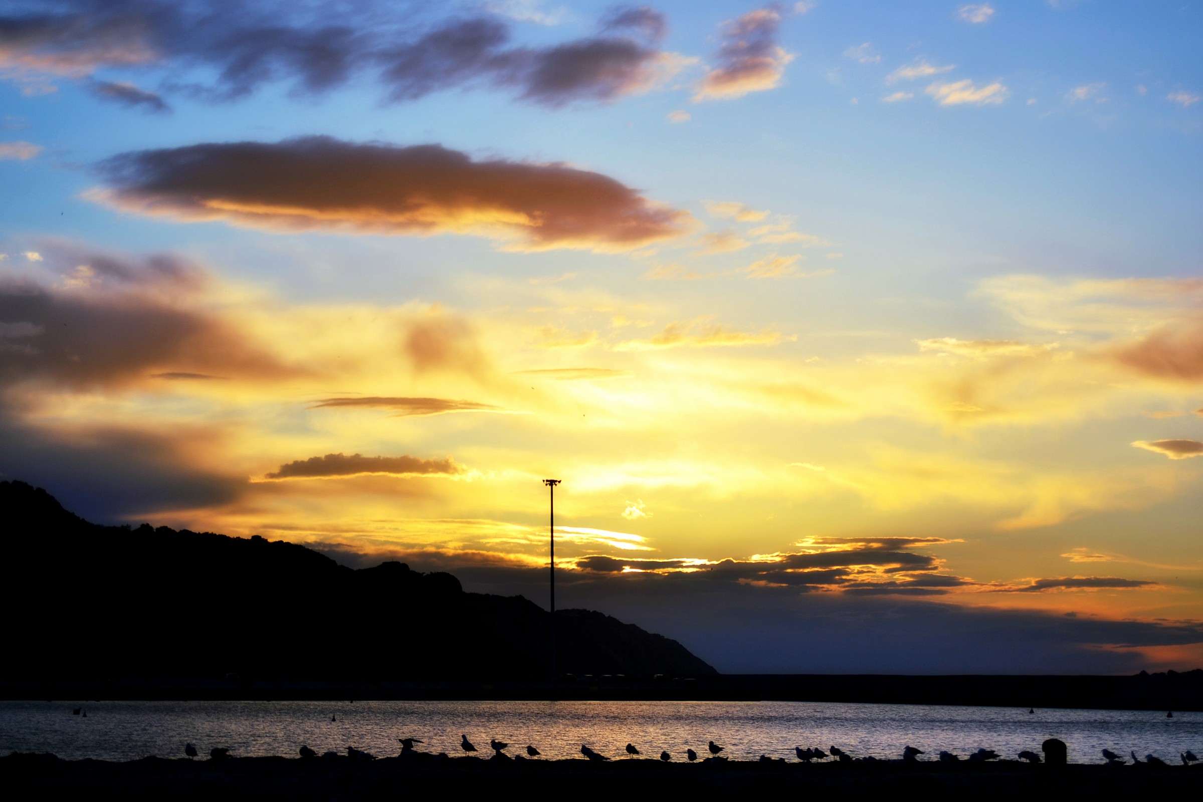 The port of Pesaro II
