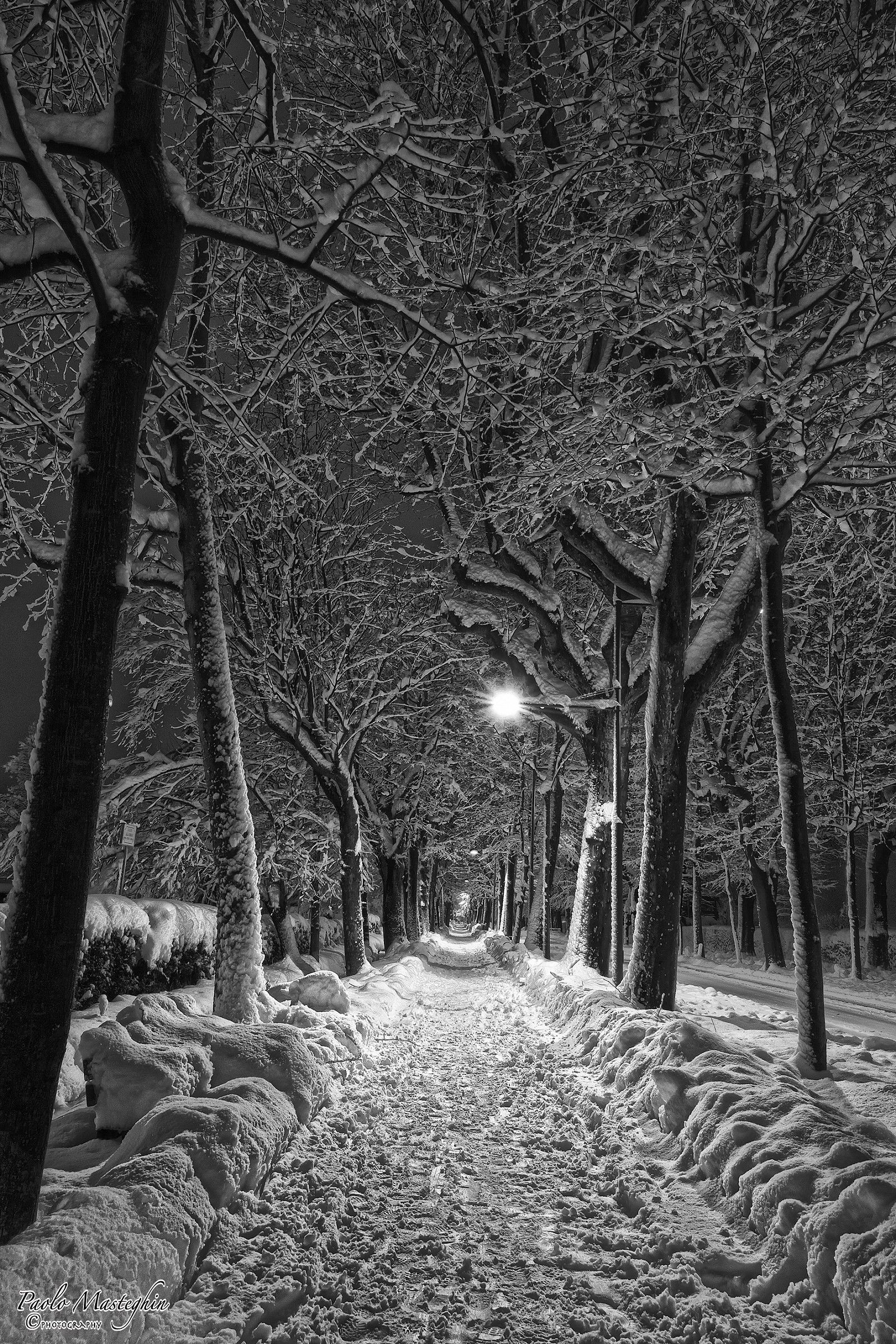 The winter in the avenue ......