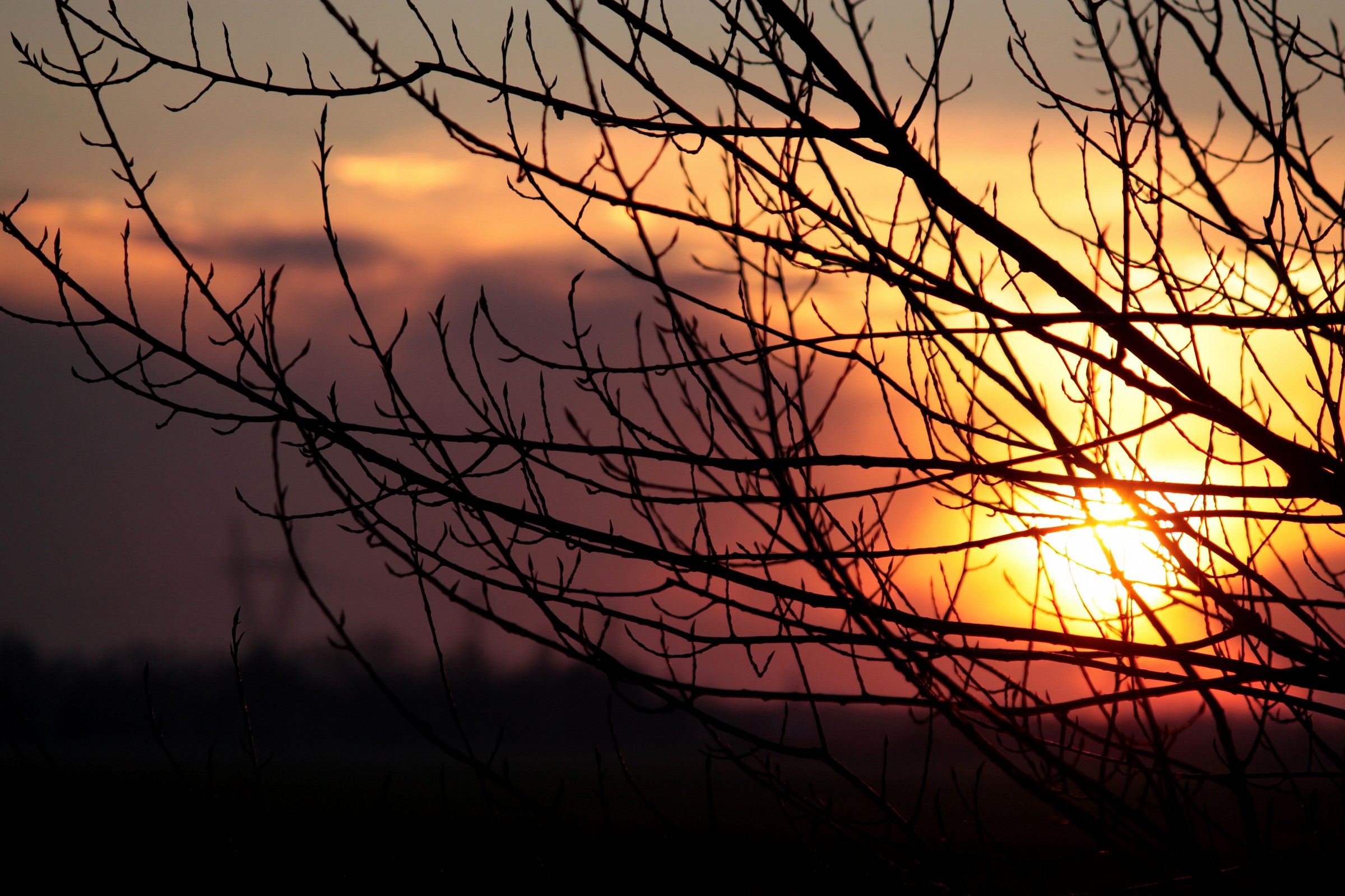 un tramonto d'inverno...