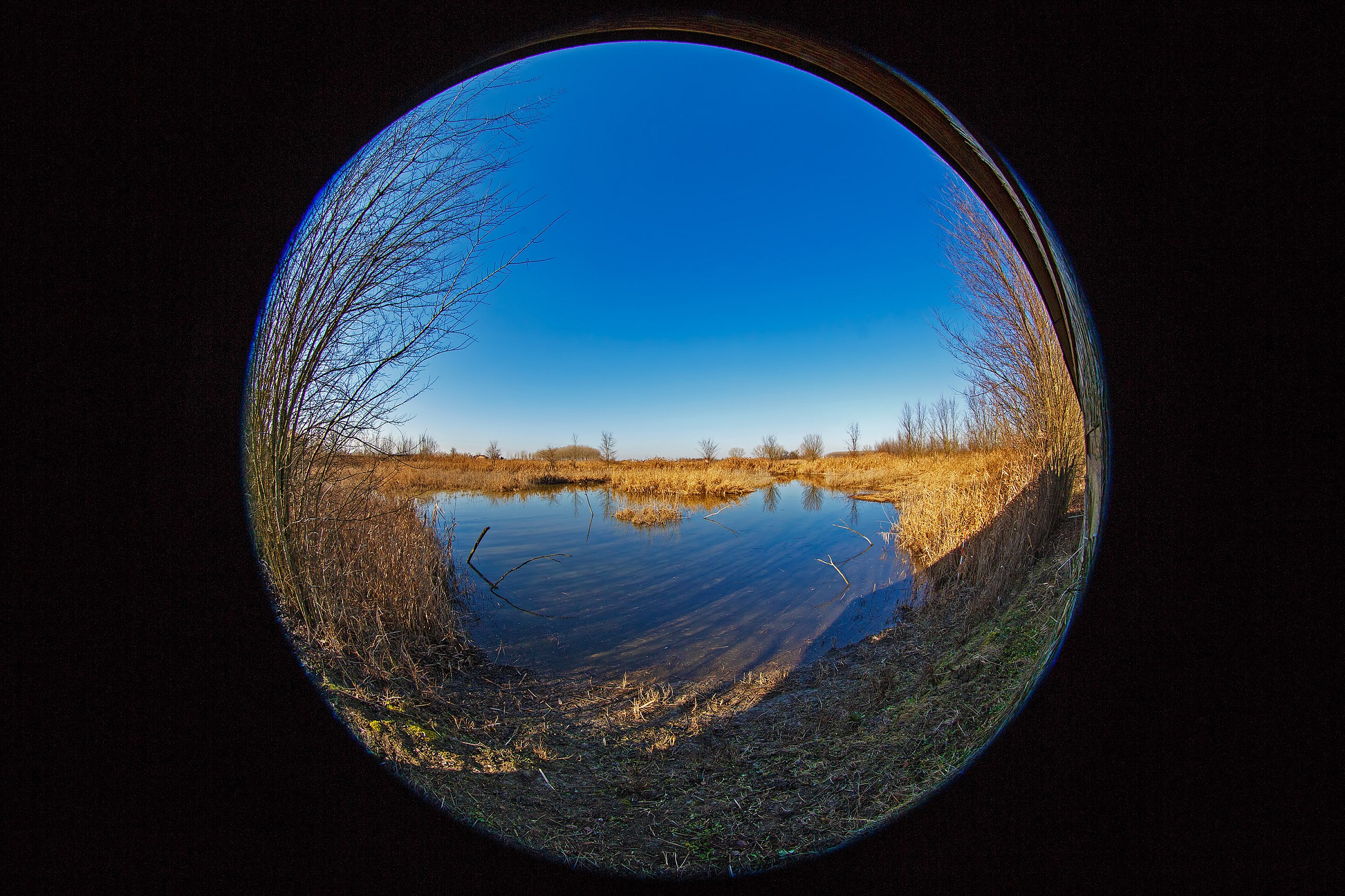 Guardando il mondo da un'oblò