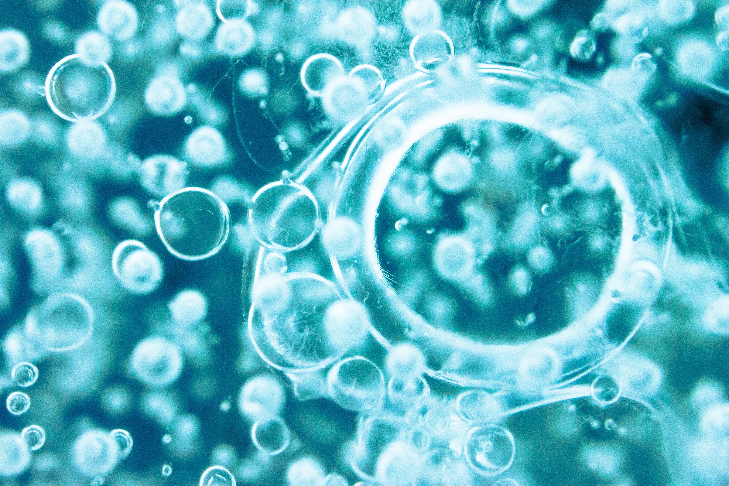 bolle d'acqua intrappolate dal gelo