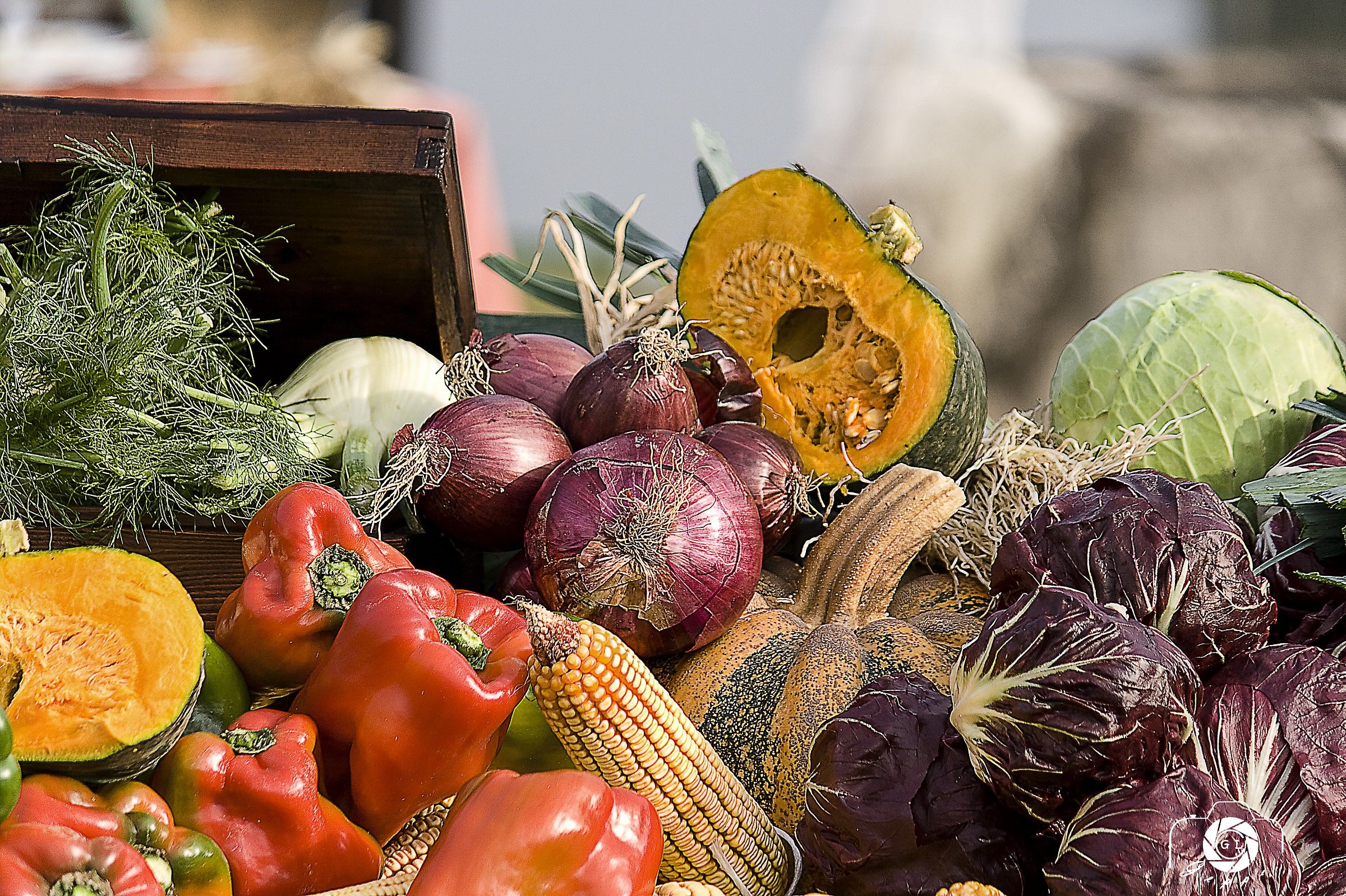 The colors of the farmer's market