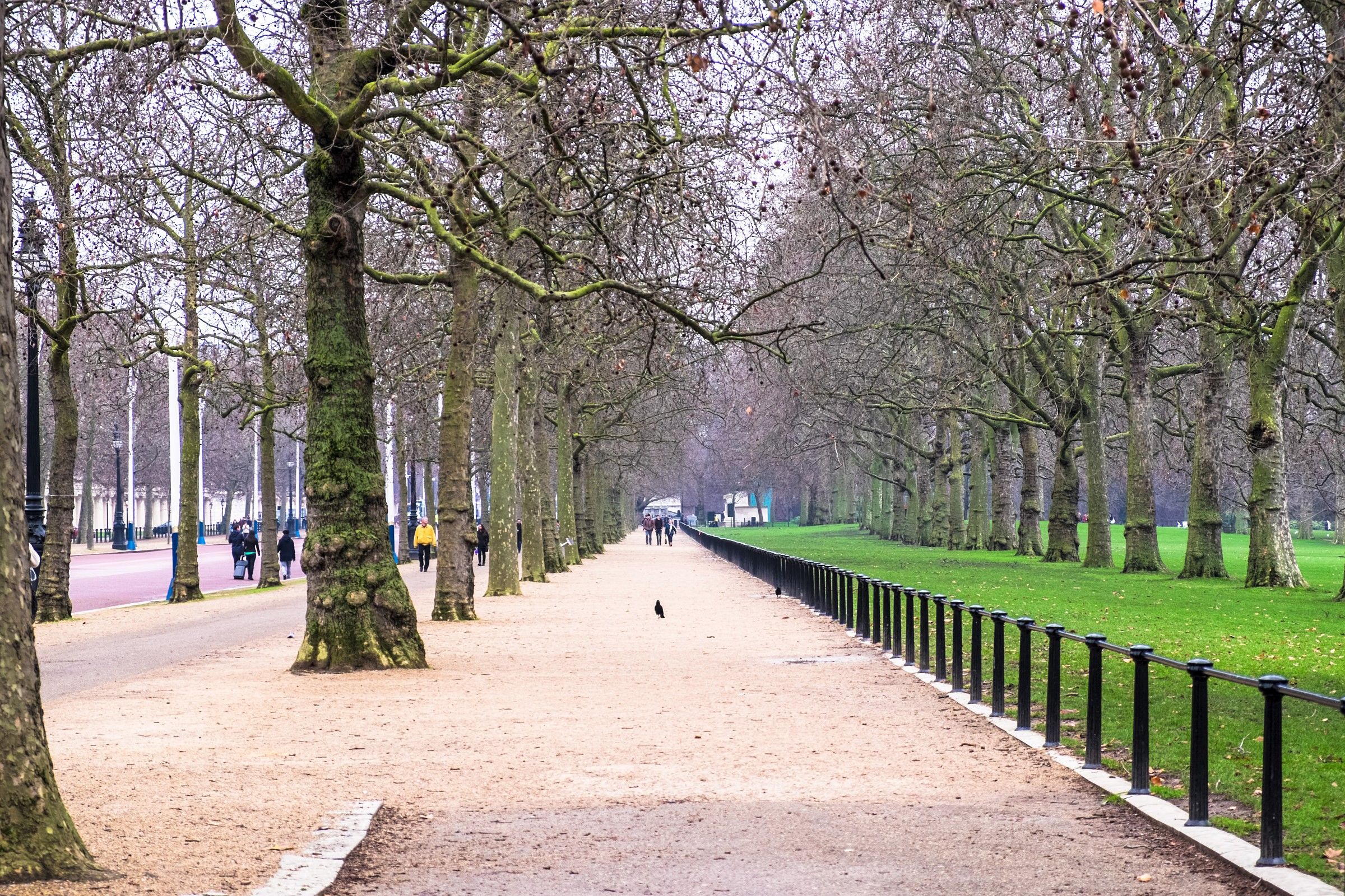 Perspective ... London (Queen's Park)