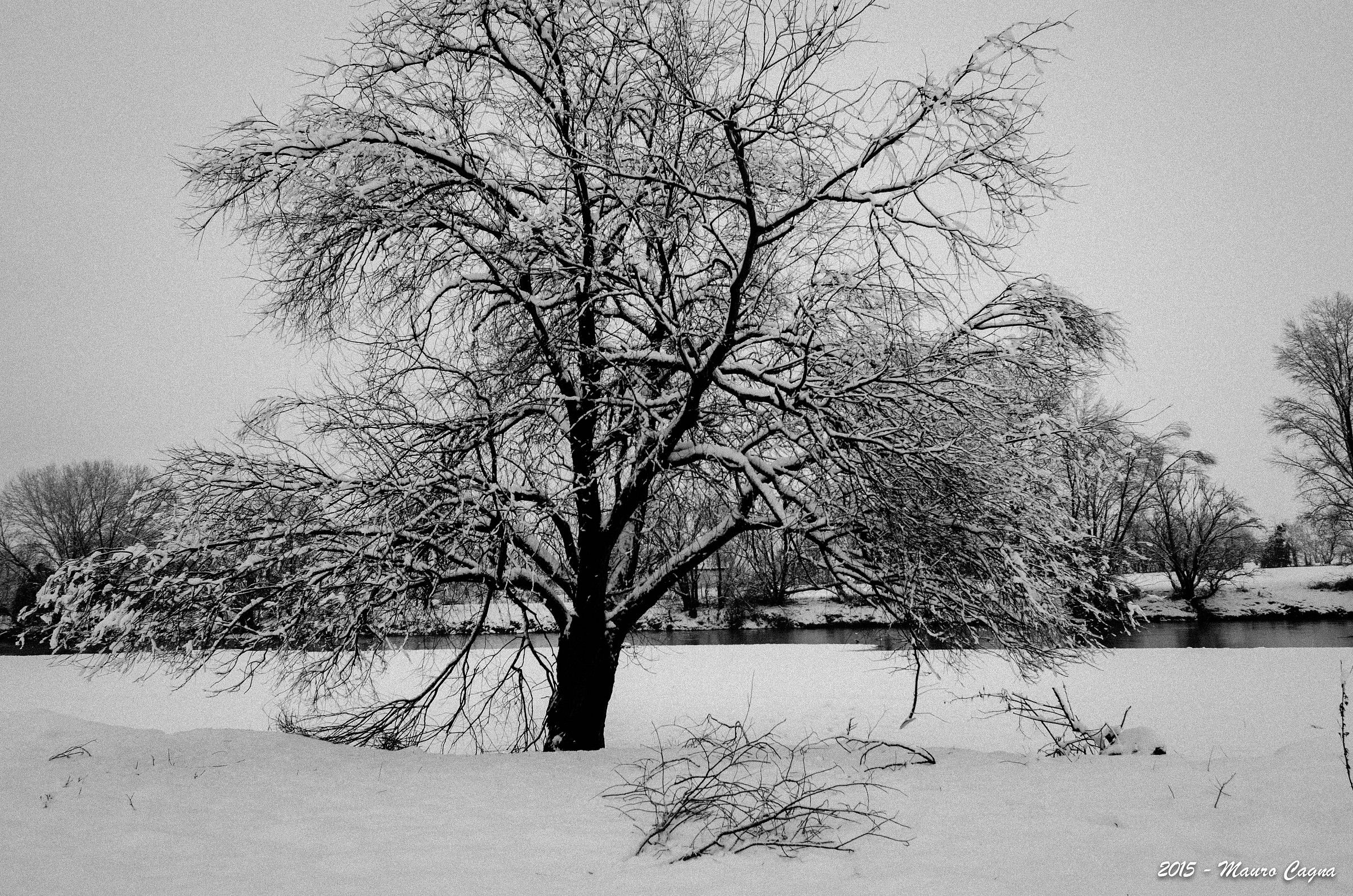 Nevicata sul fiume Serio #2