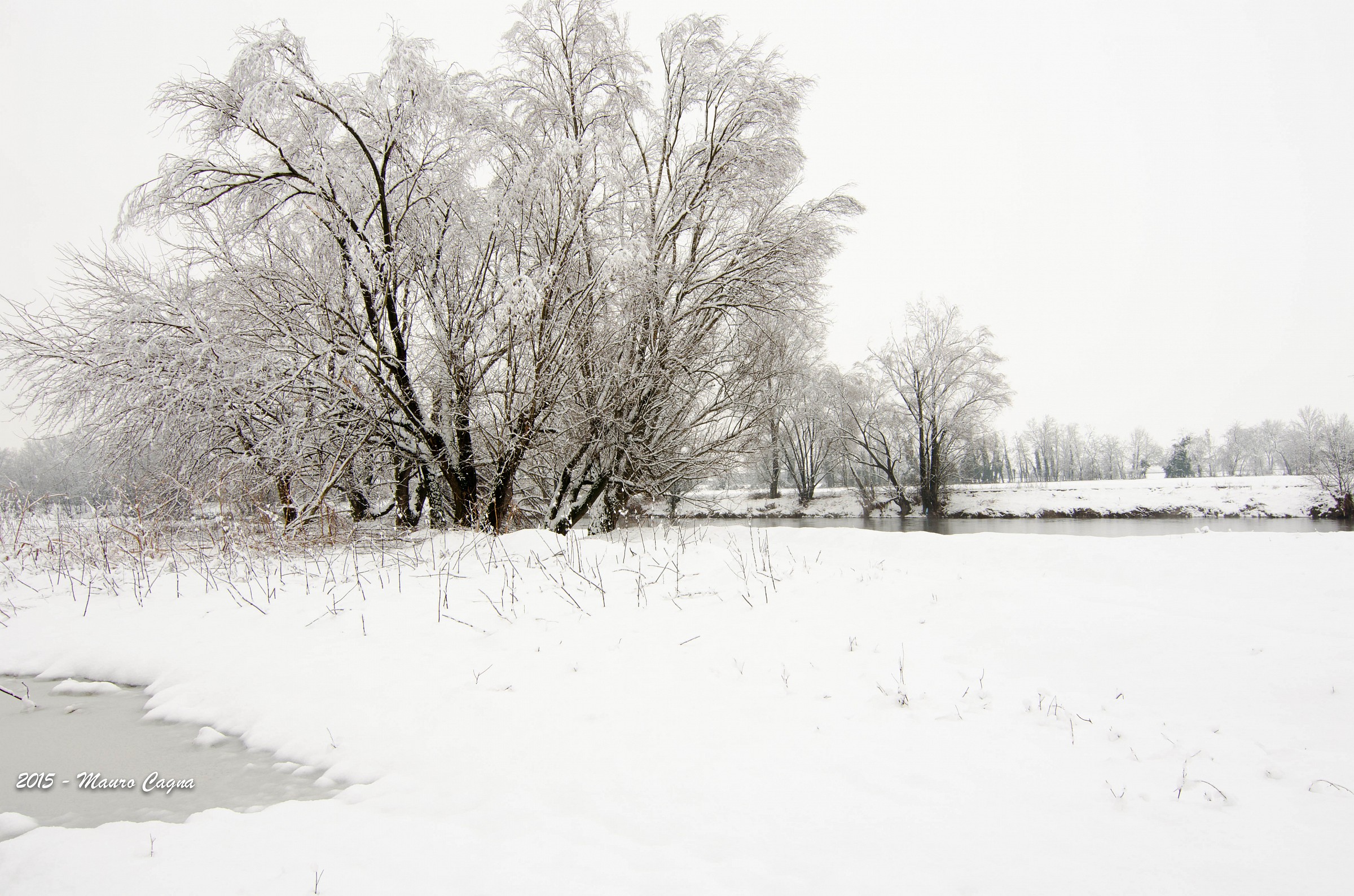 Nevicata sul fiume Serio #4