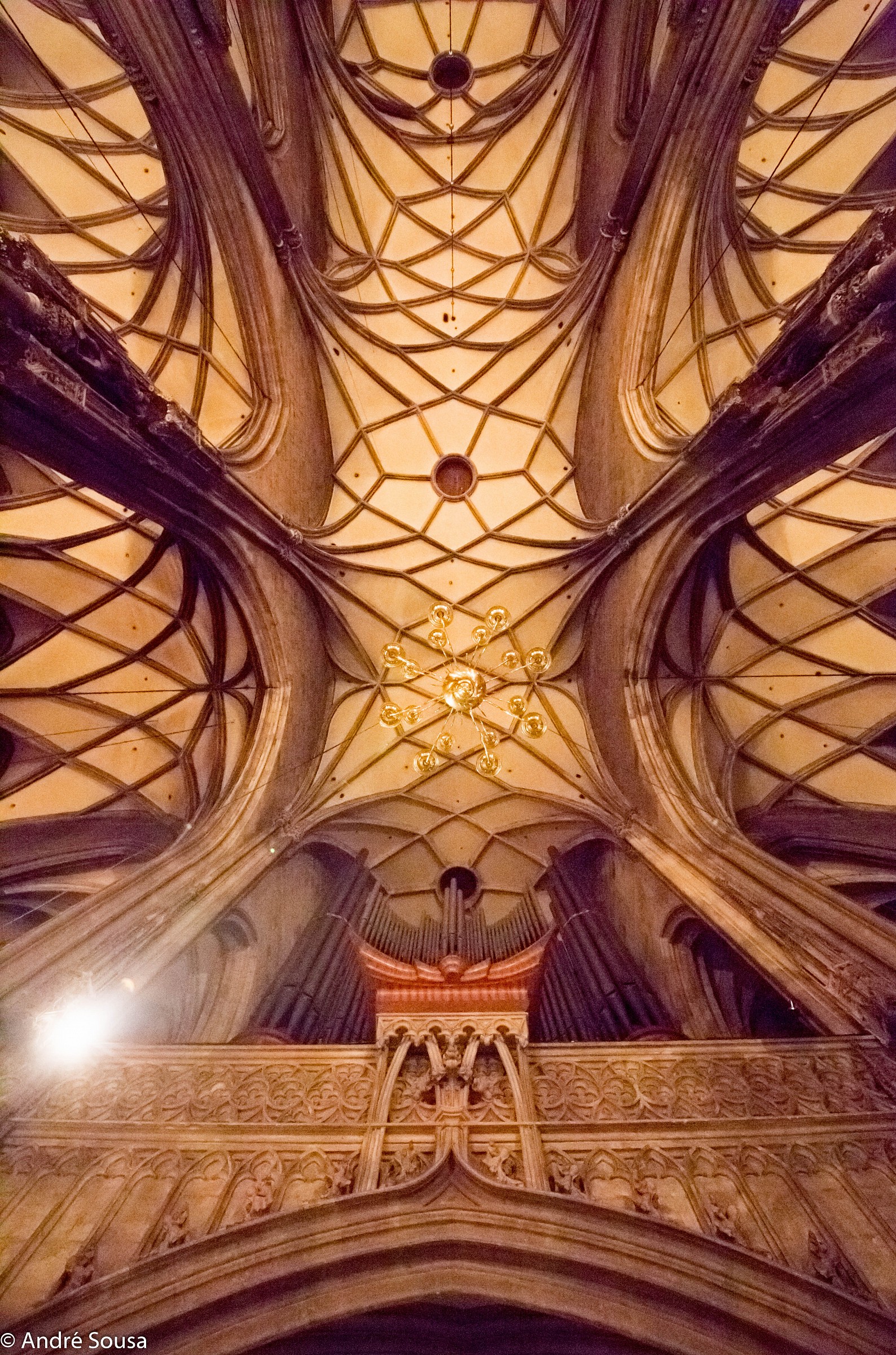 Chiesa di Sto Stefano - Vienna