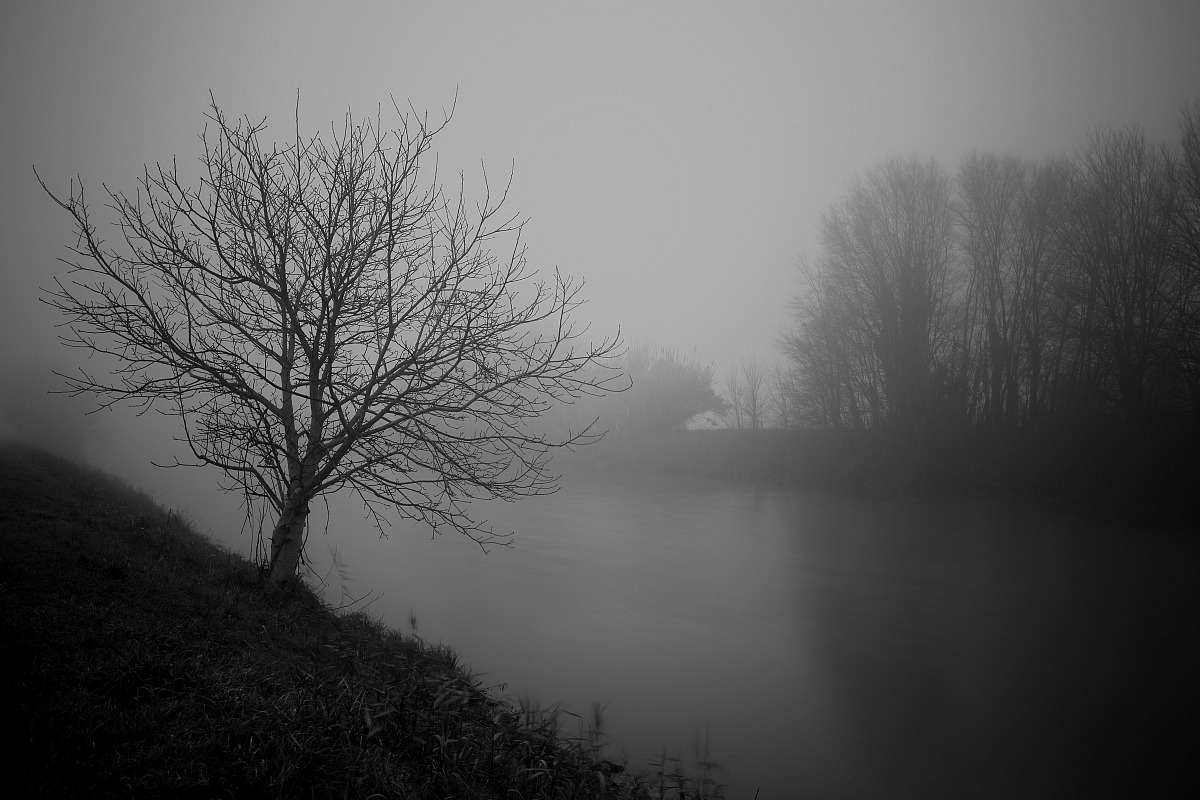 A foggy day
