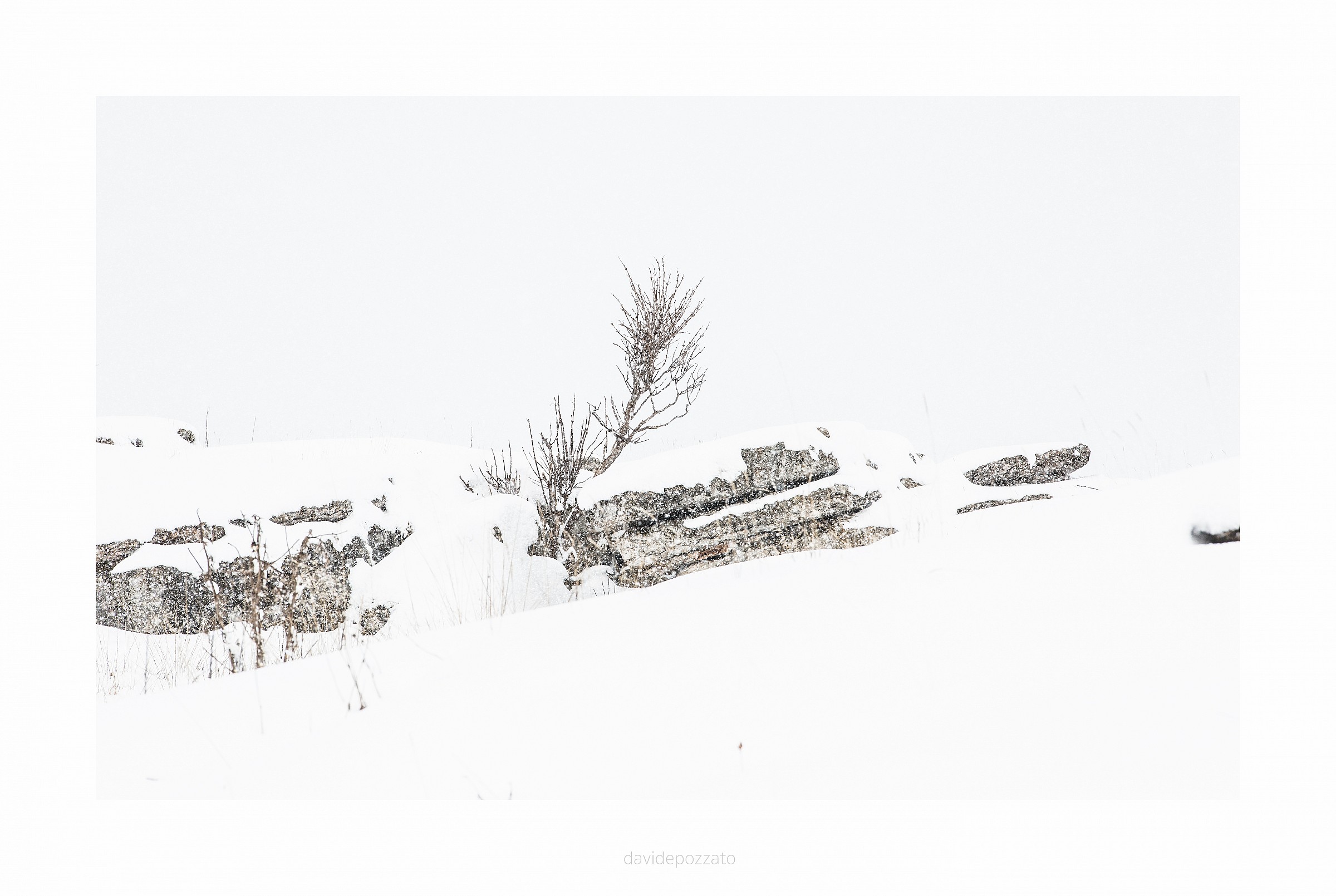 The creativity of nature