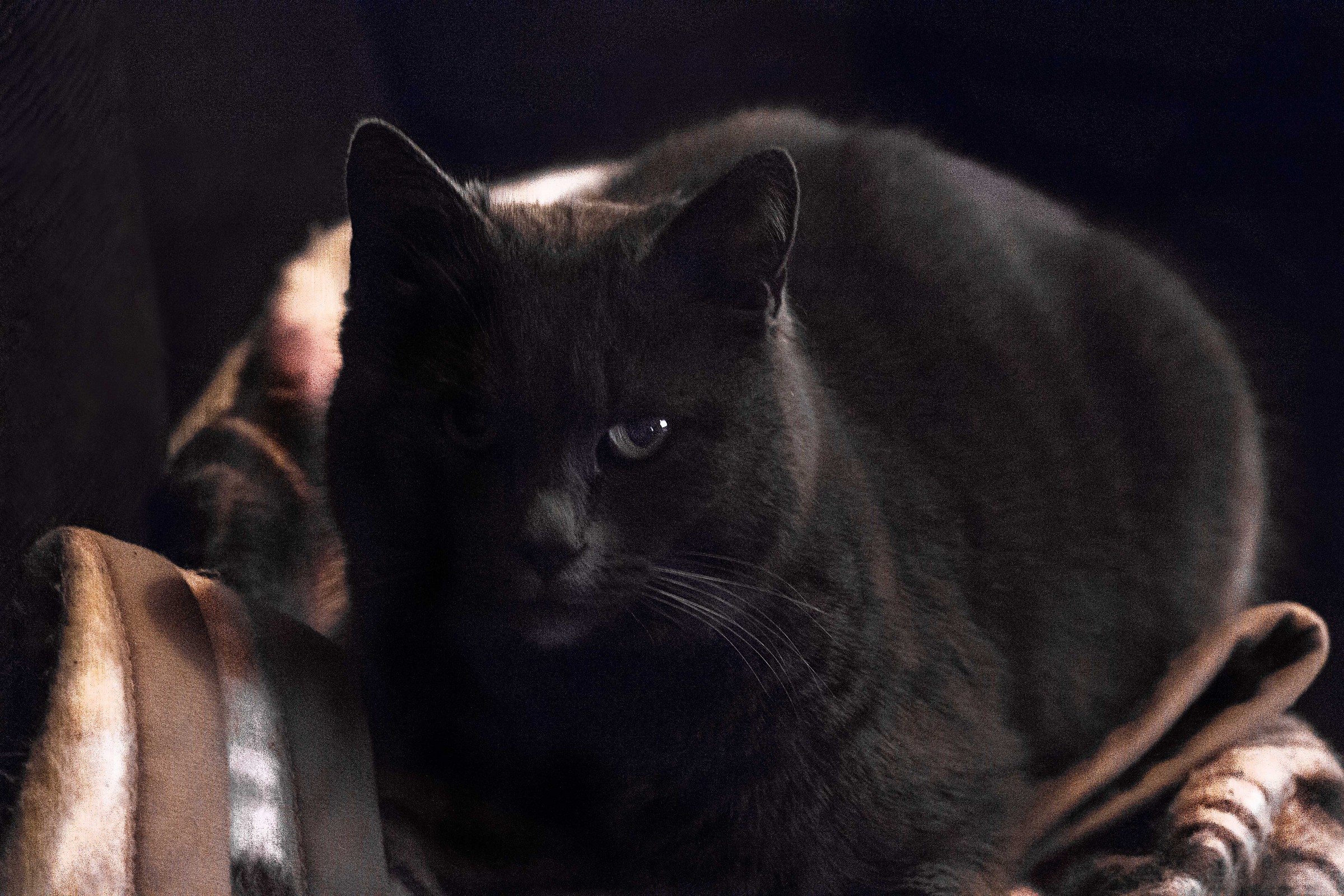 iso 25600!!! (Matilde)