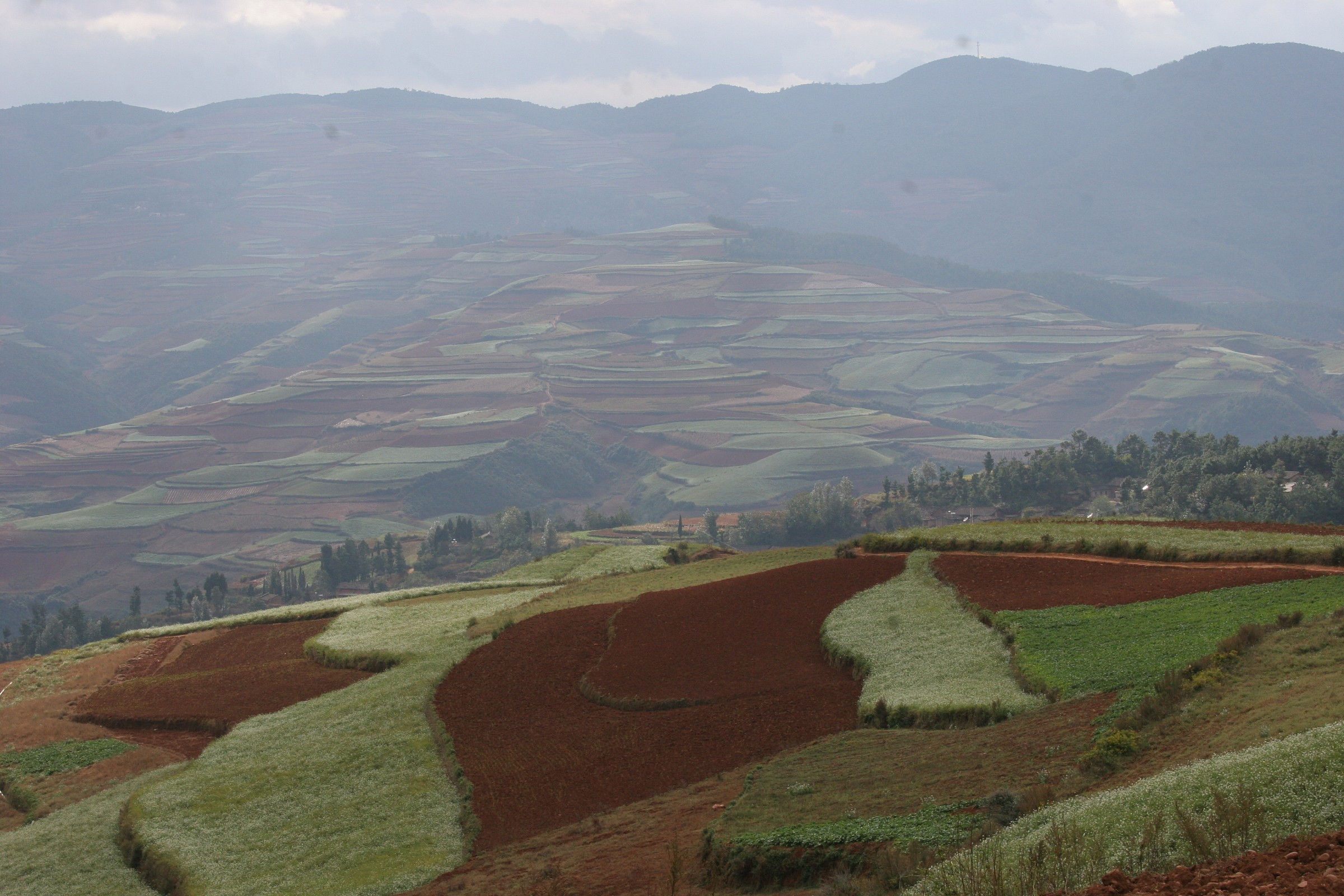 Terre rosse-Yunnan