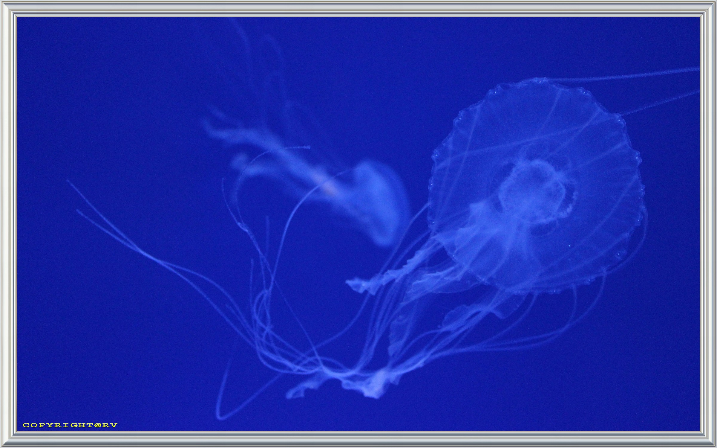 il mare......all'0scuro