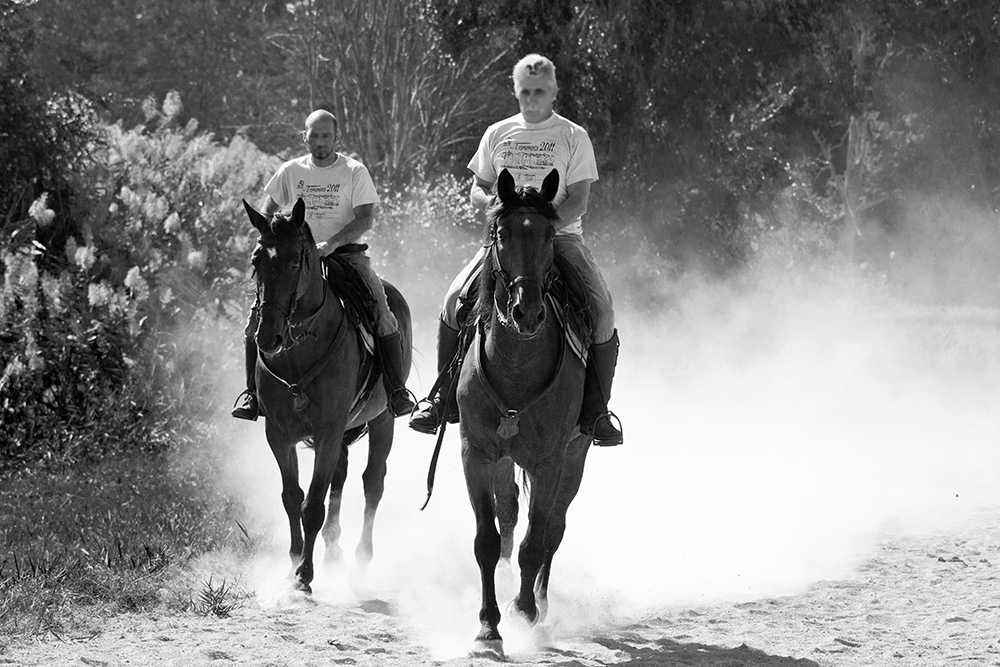Cavalieri in Maremma