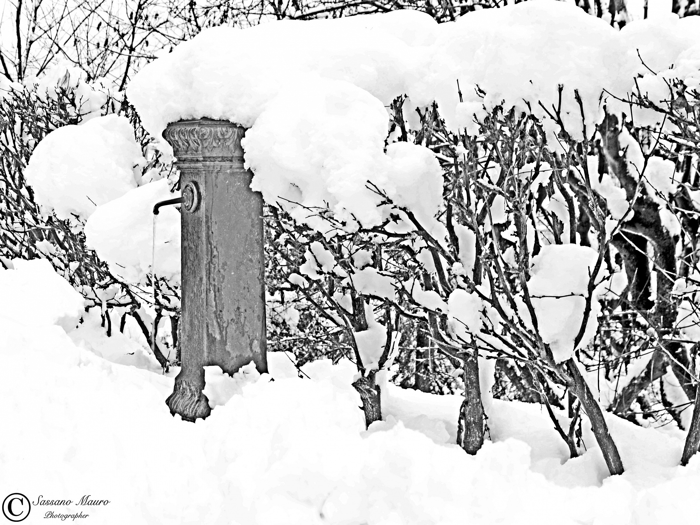 La fontana innevata