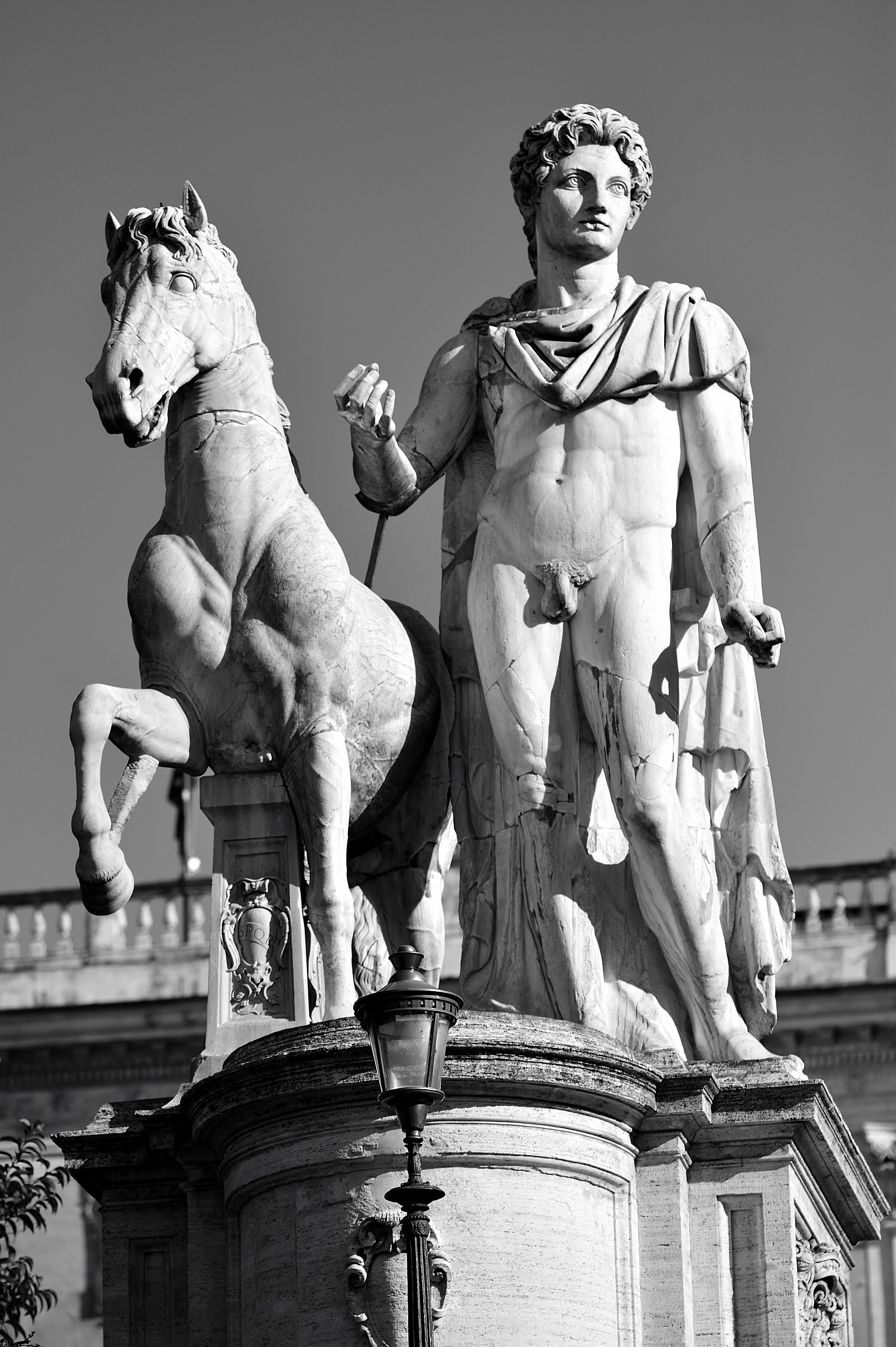 Roma Campidoglio-Uno dei due Dioscuri