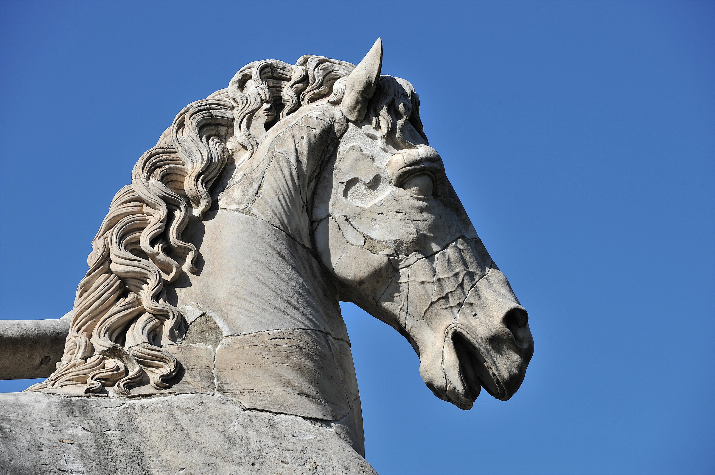 Roma Campidoglio-Part. Cavallo Dioscuri