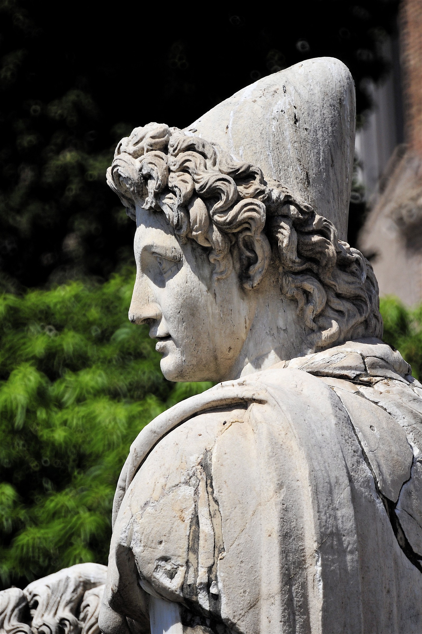 Roma Campidoglio-Particolare Dioscuro