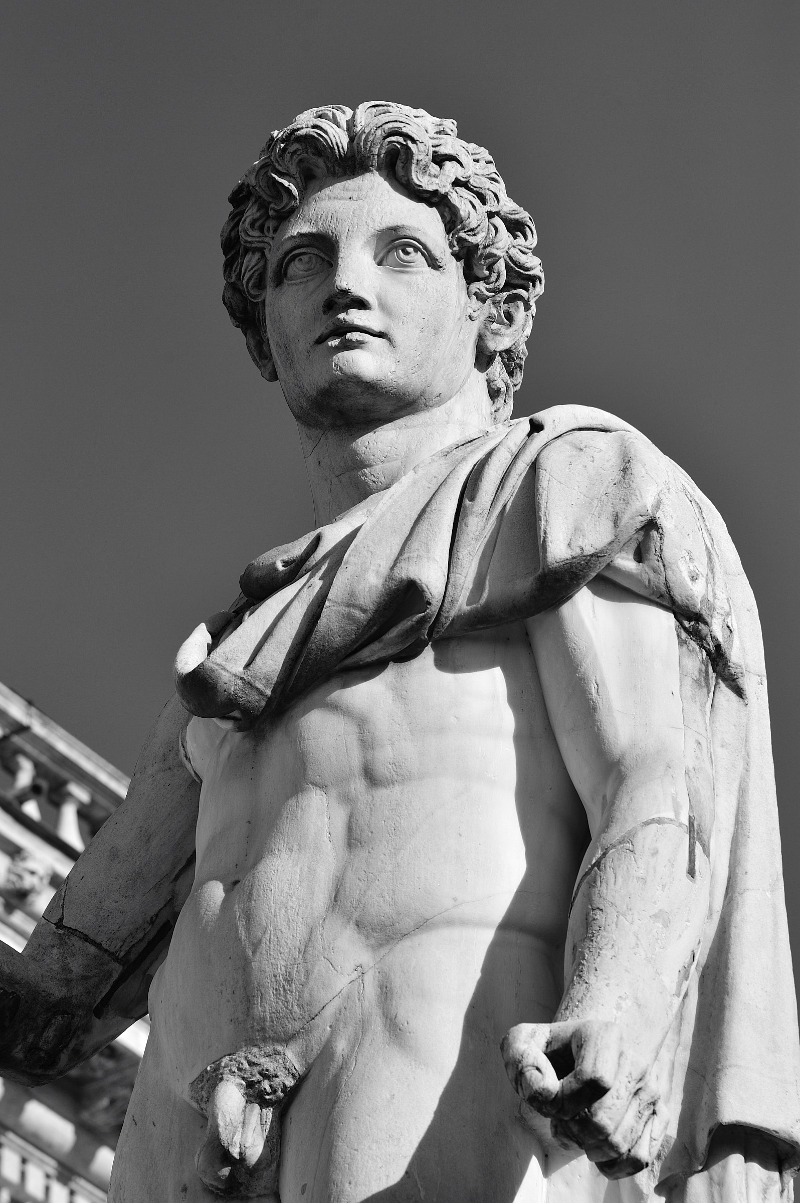 Roma Campidoglio:Particolare Dioscuro