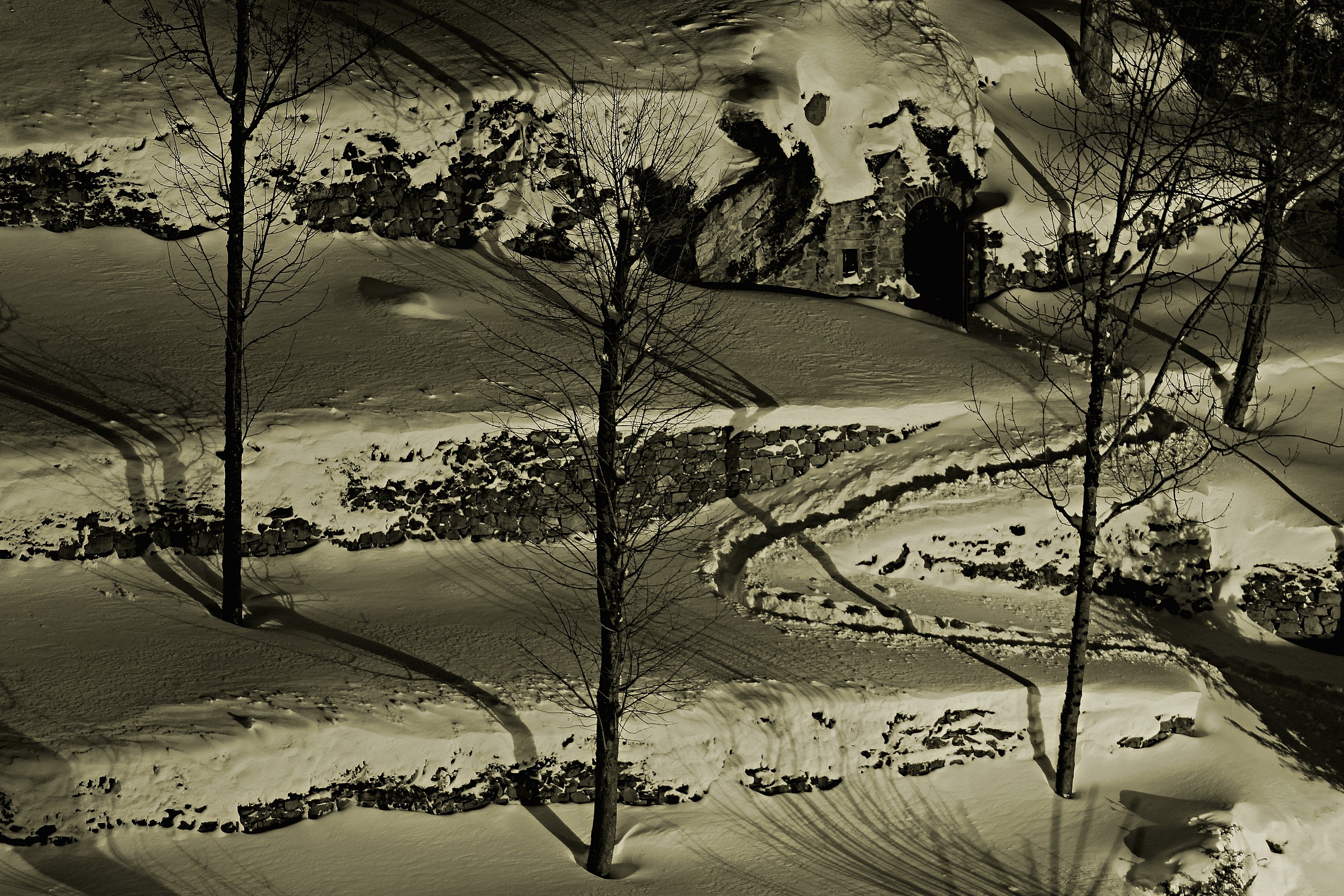 Tracce nella neve...